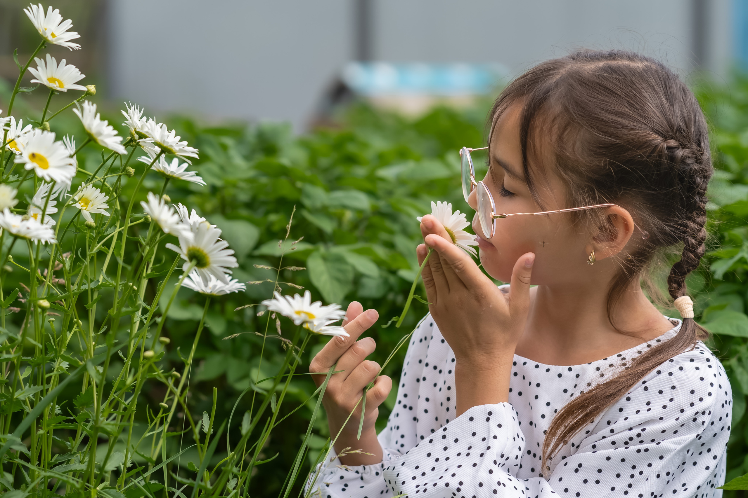 У Алексея с Ольгой. Фотограф Ворошилов Дмитрий. Эссо. Камчатка
