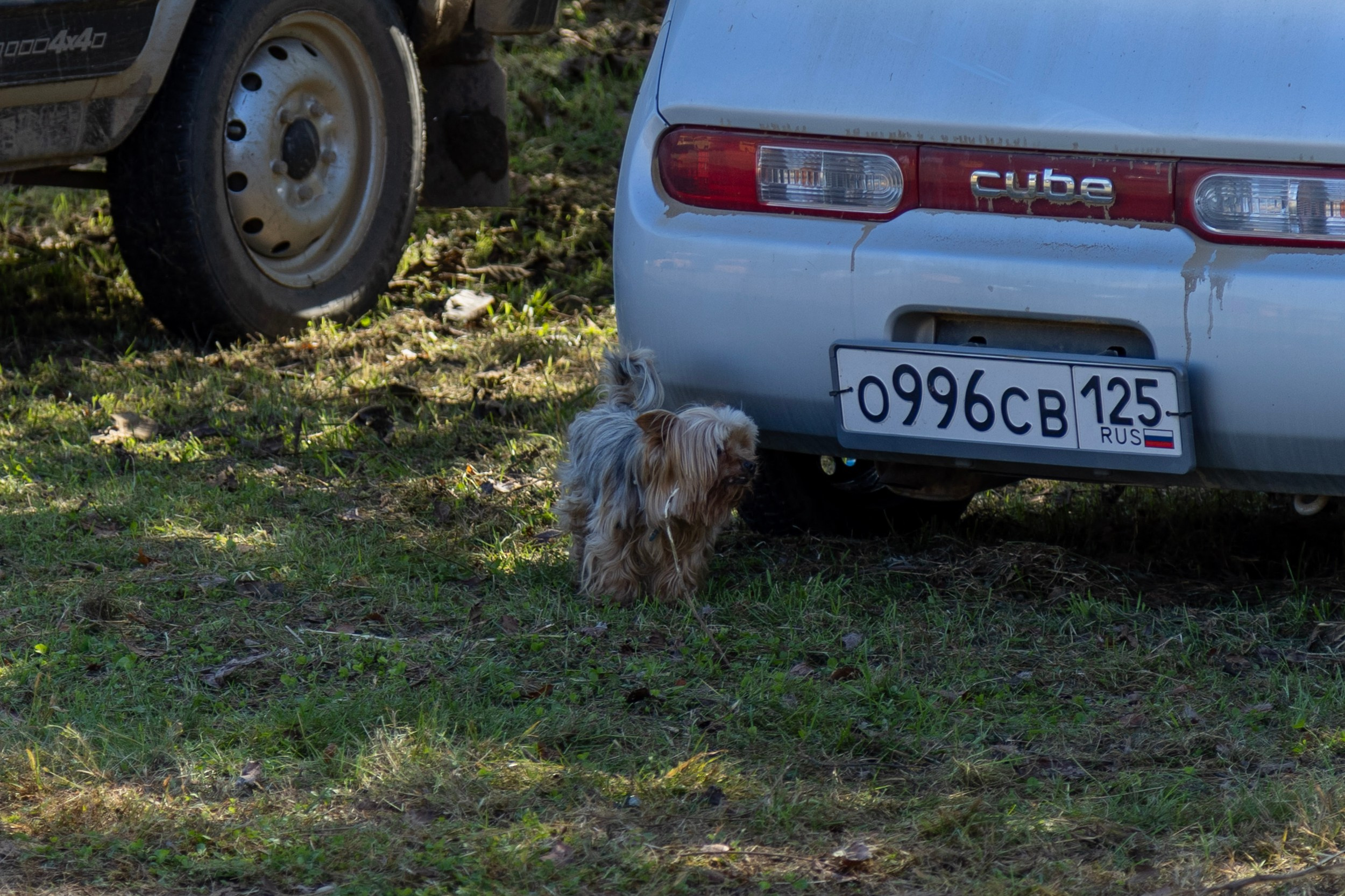 Фестиваль «Большой пикник», репортаж для ASAP Speedcubing. Репортажный и портретный фотограф в Владивостоке