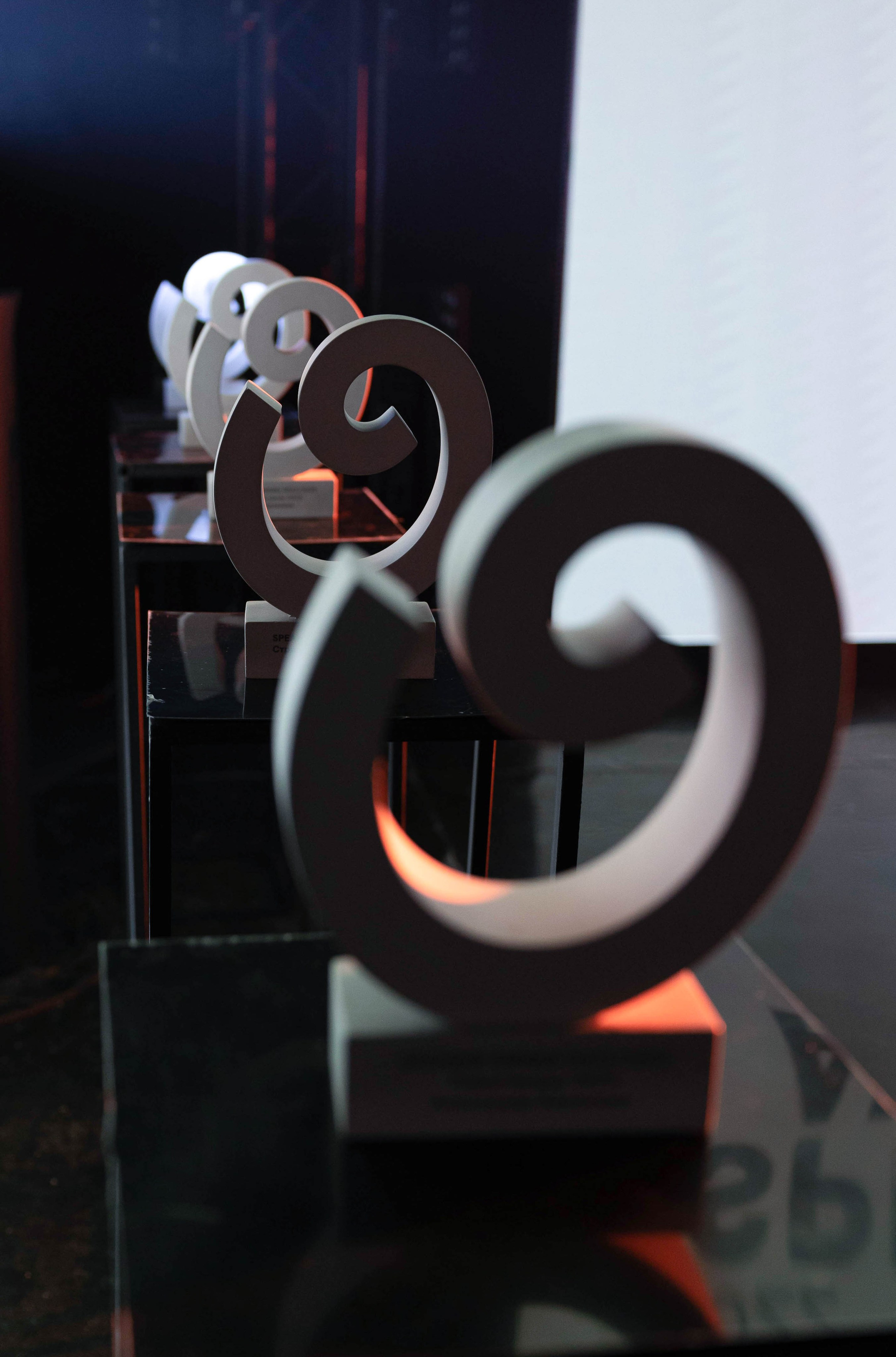 Премия Speaker Award. Свадебный, репортажный, фотограф Москва и Московская область