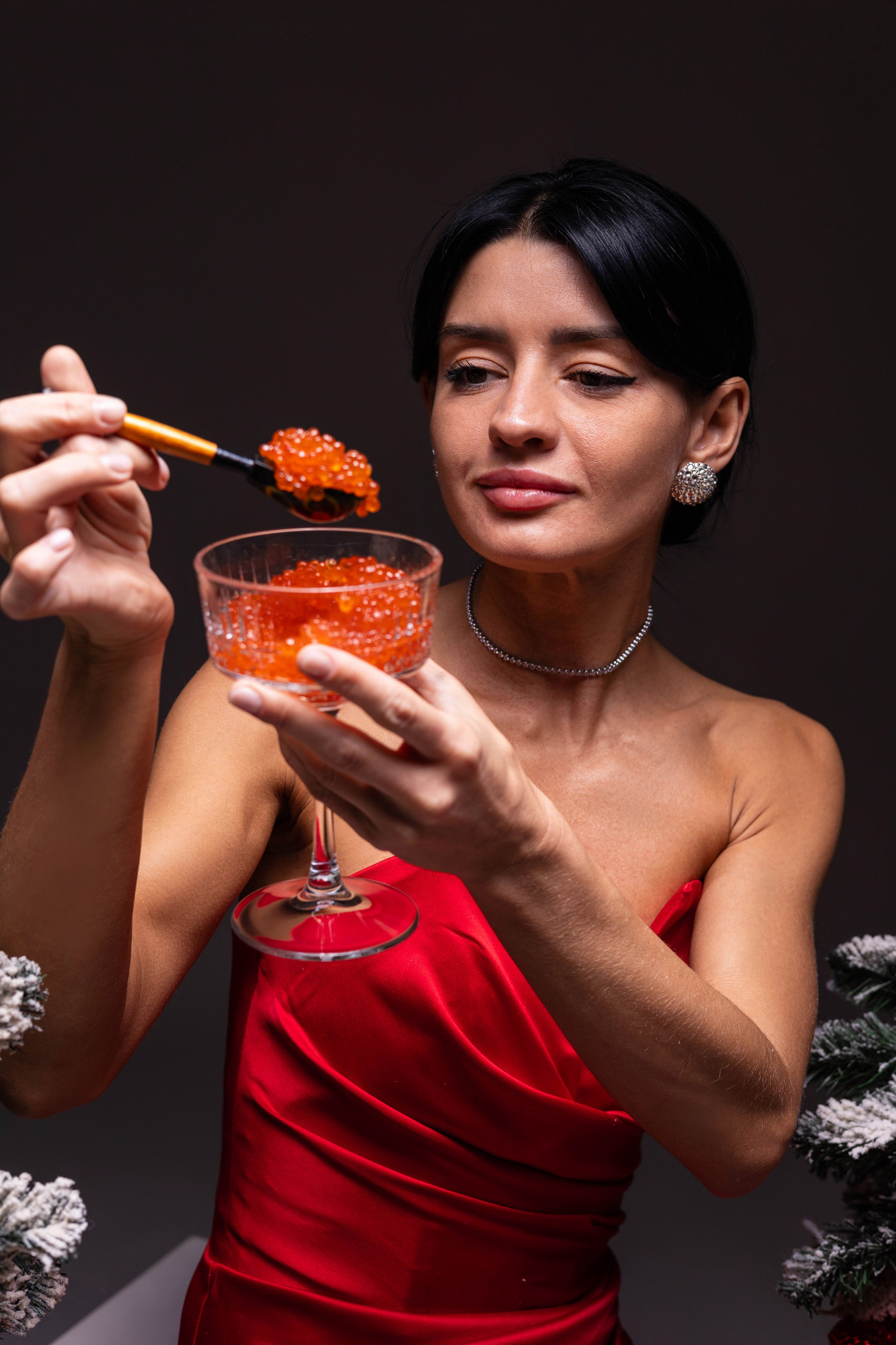 Новый год. Фотограф в городе Лыткарино Волкова Ольга