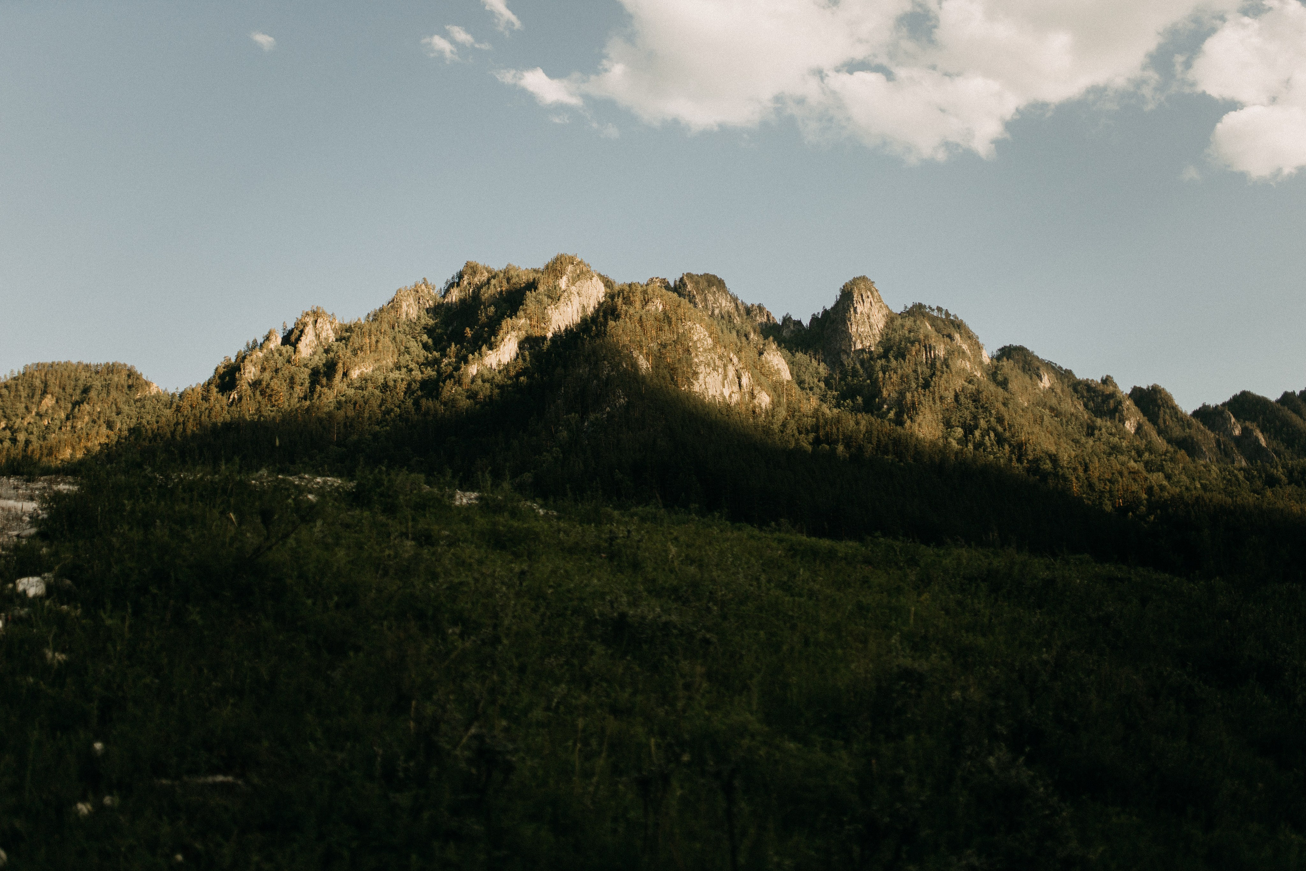 Илья и Оксана (Алтай). Свадебный и портретный фотограф в Калининграде и Москве Марк Юдинцев