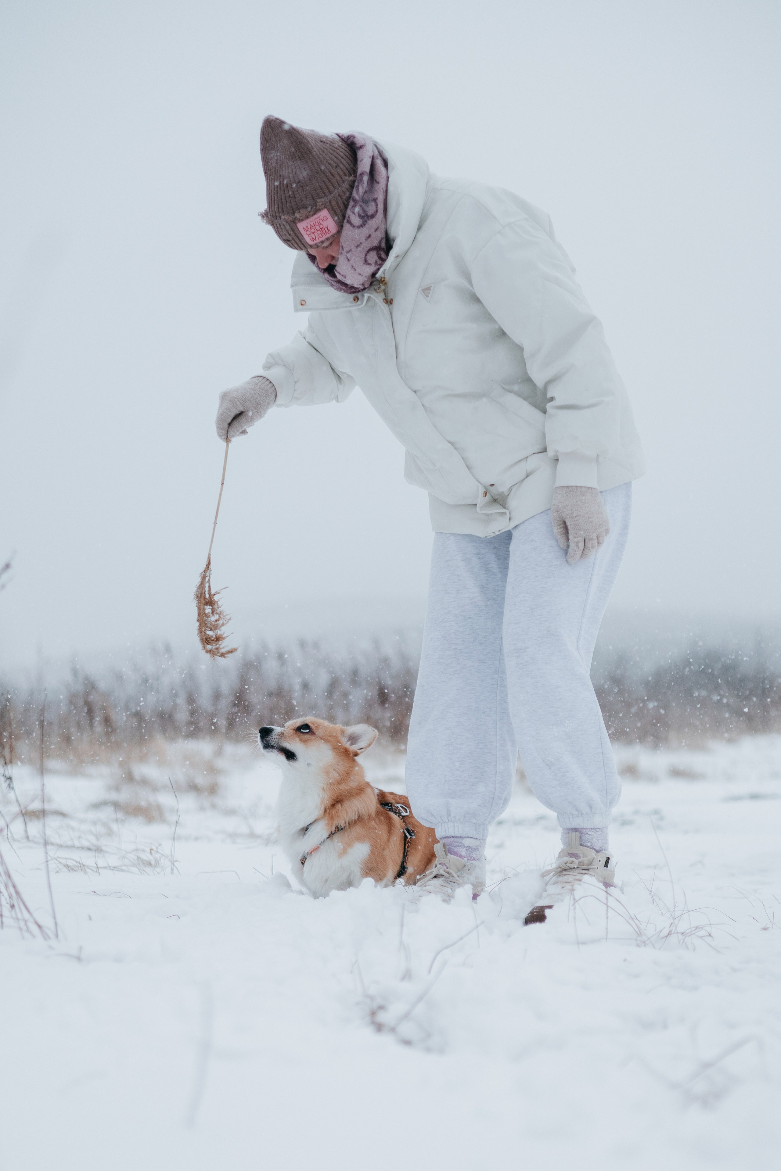 Лена, Лиза и Мия. Фотограф — анималист Владивосток, Алина