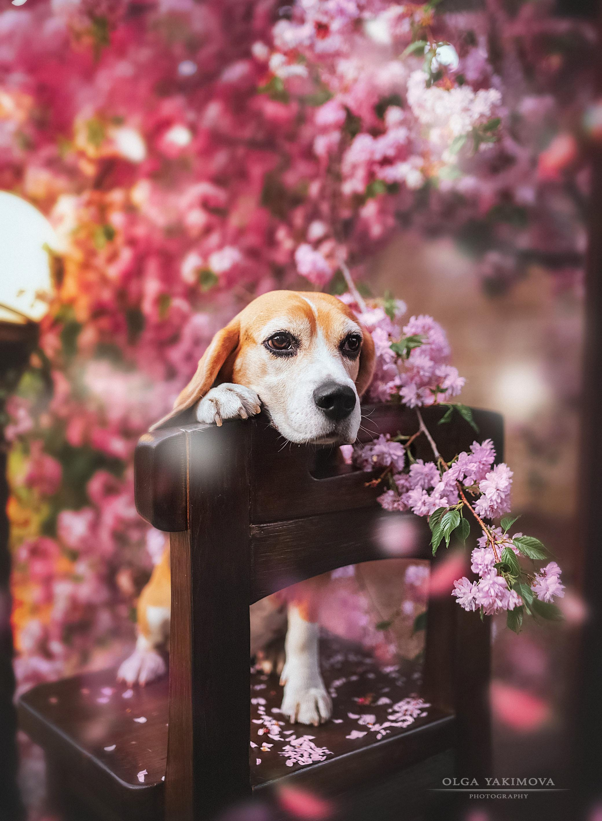 Экстерьер. Фотограф