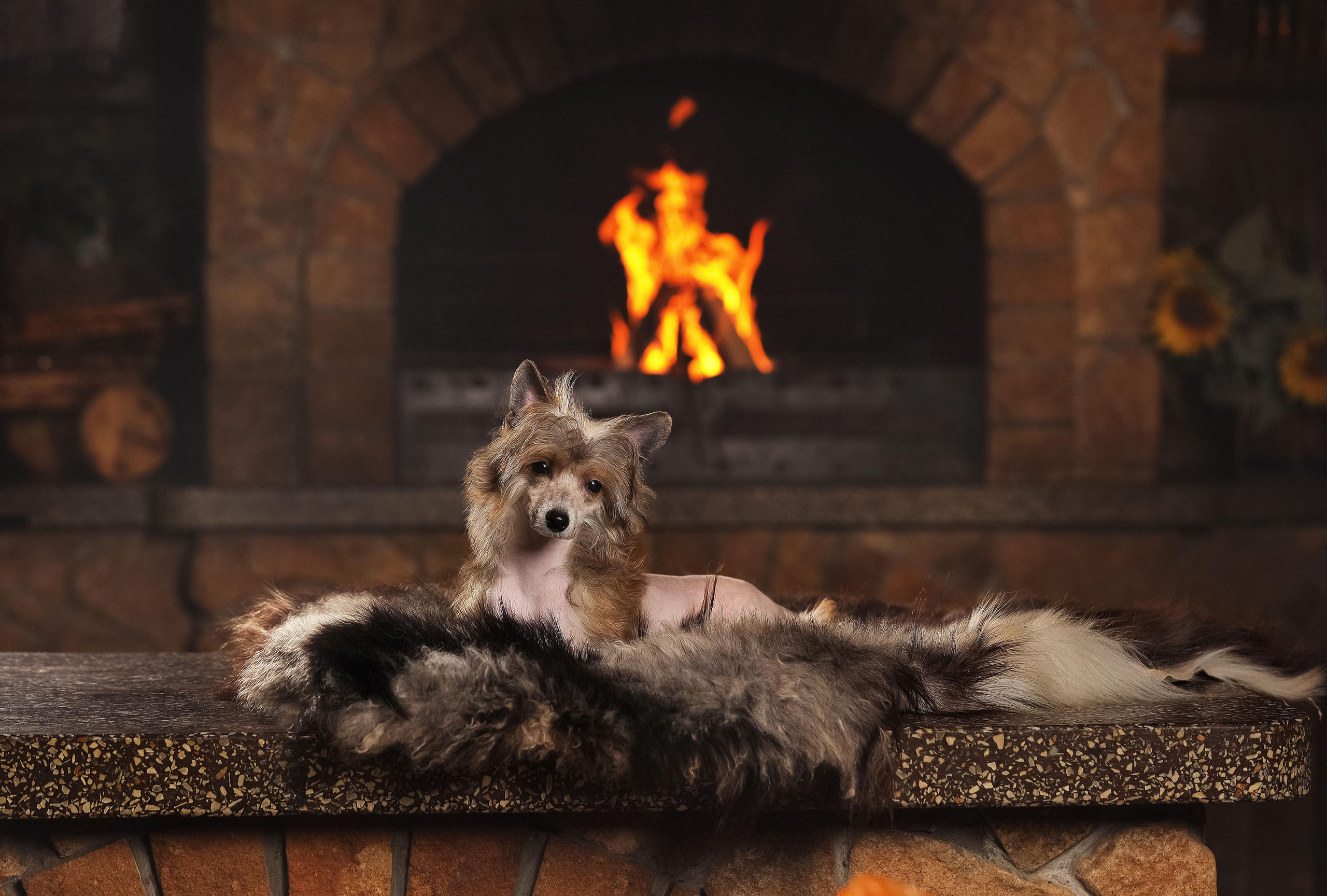 Экстерьер. Фотограф