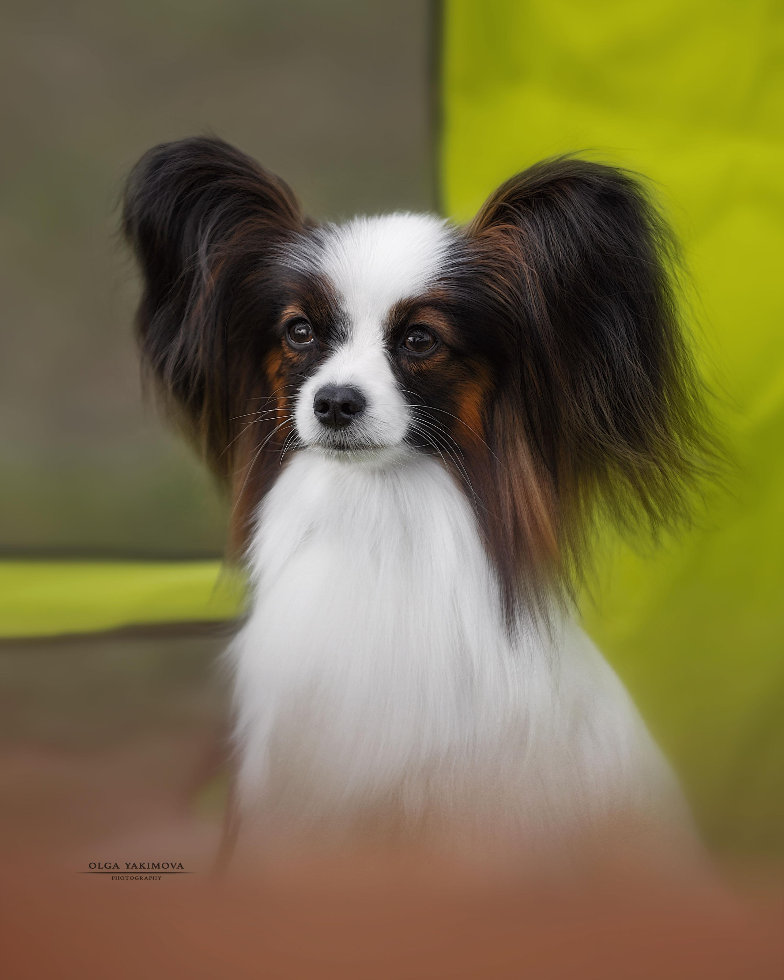 Экстерьер. Фотограф