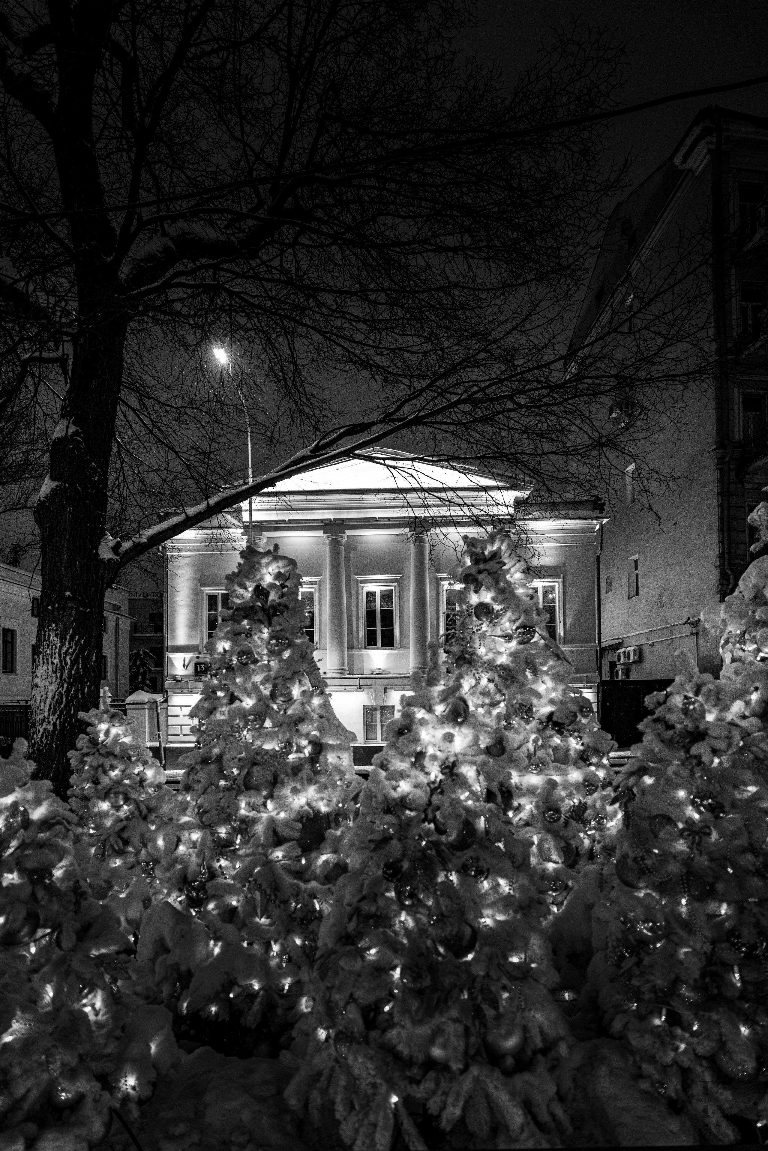 Бульвар. Январь 2026. Фотографирую жизнь! Московский фотограф волонтер