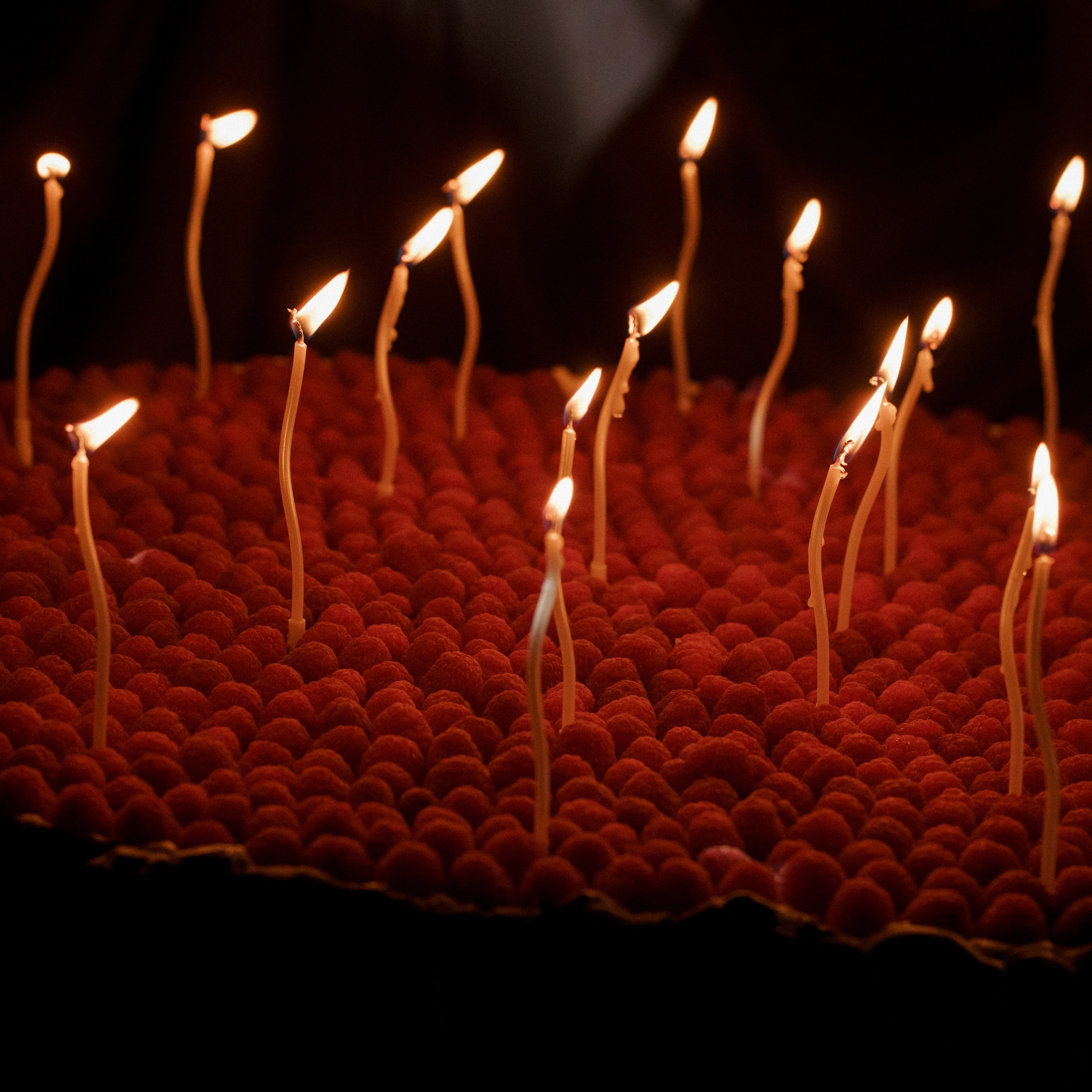 Евгений & Анна. Свадебный фотограф в Краснодаре