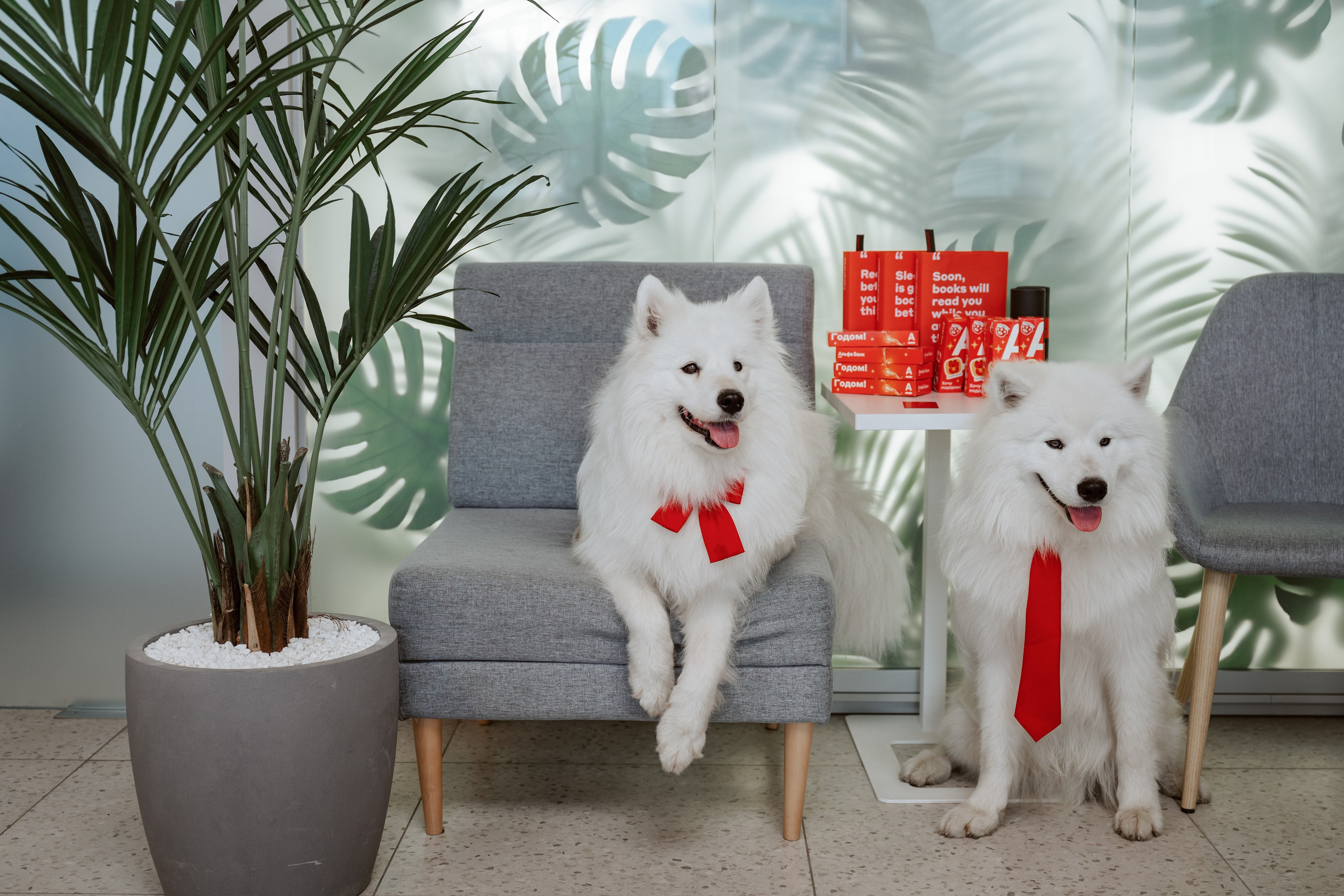 Альфа банк Карла Маркса 5. Фотограф Кристина Тумаева. Самоед Новосибирск