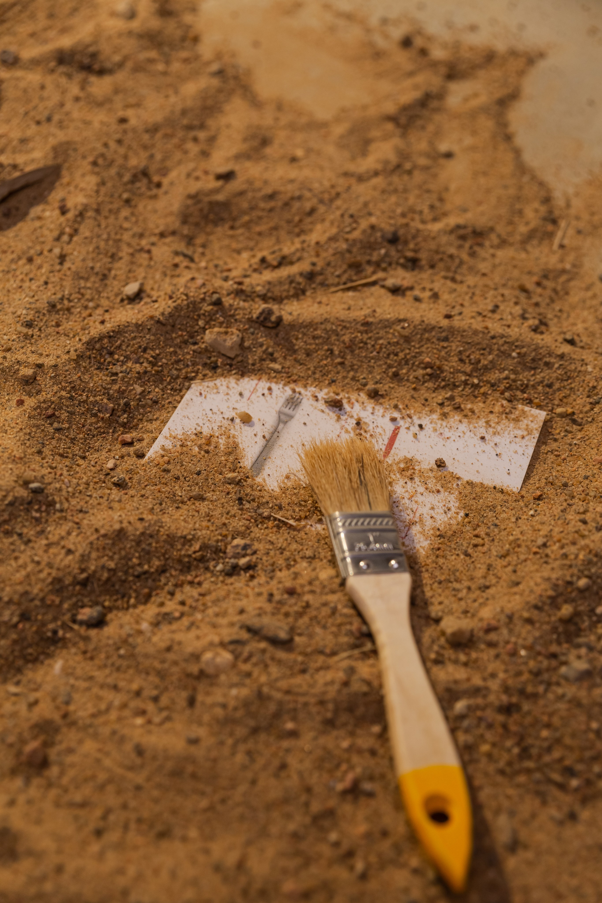 Репортажная и контент съемка. Портретный и Семейный фотограф в Санкт-Петербурге Rocket Alice