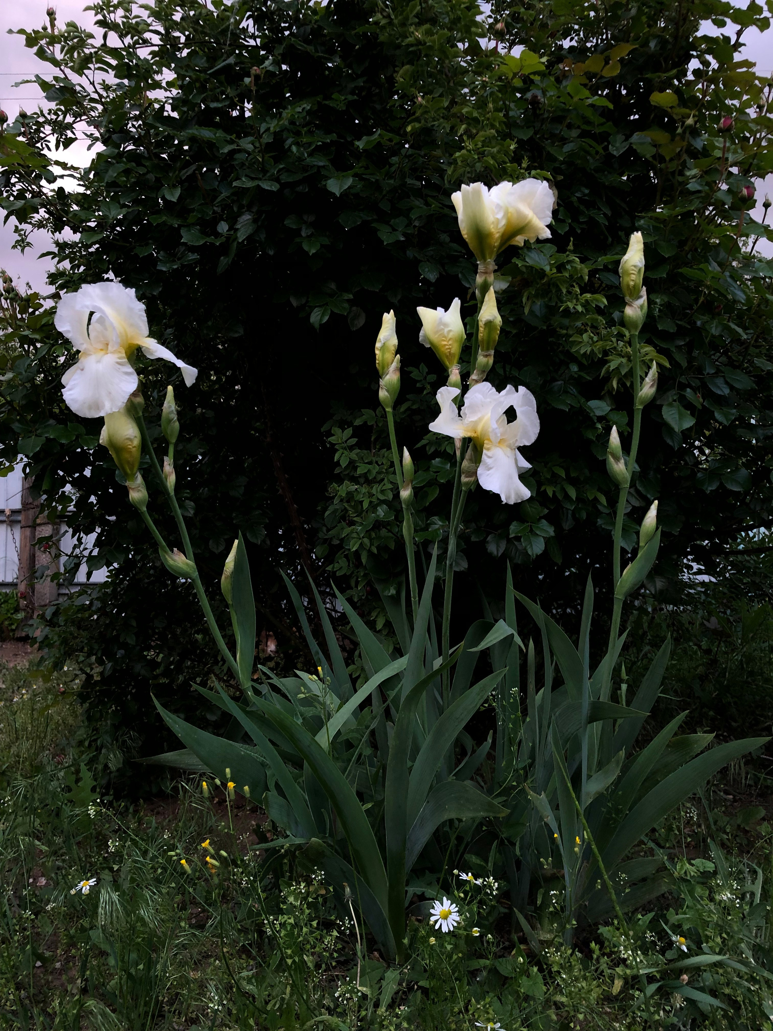 Визуальный дневник. Портретный фотограф в Москве Гахраманова Екатерина