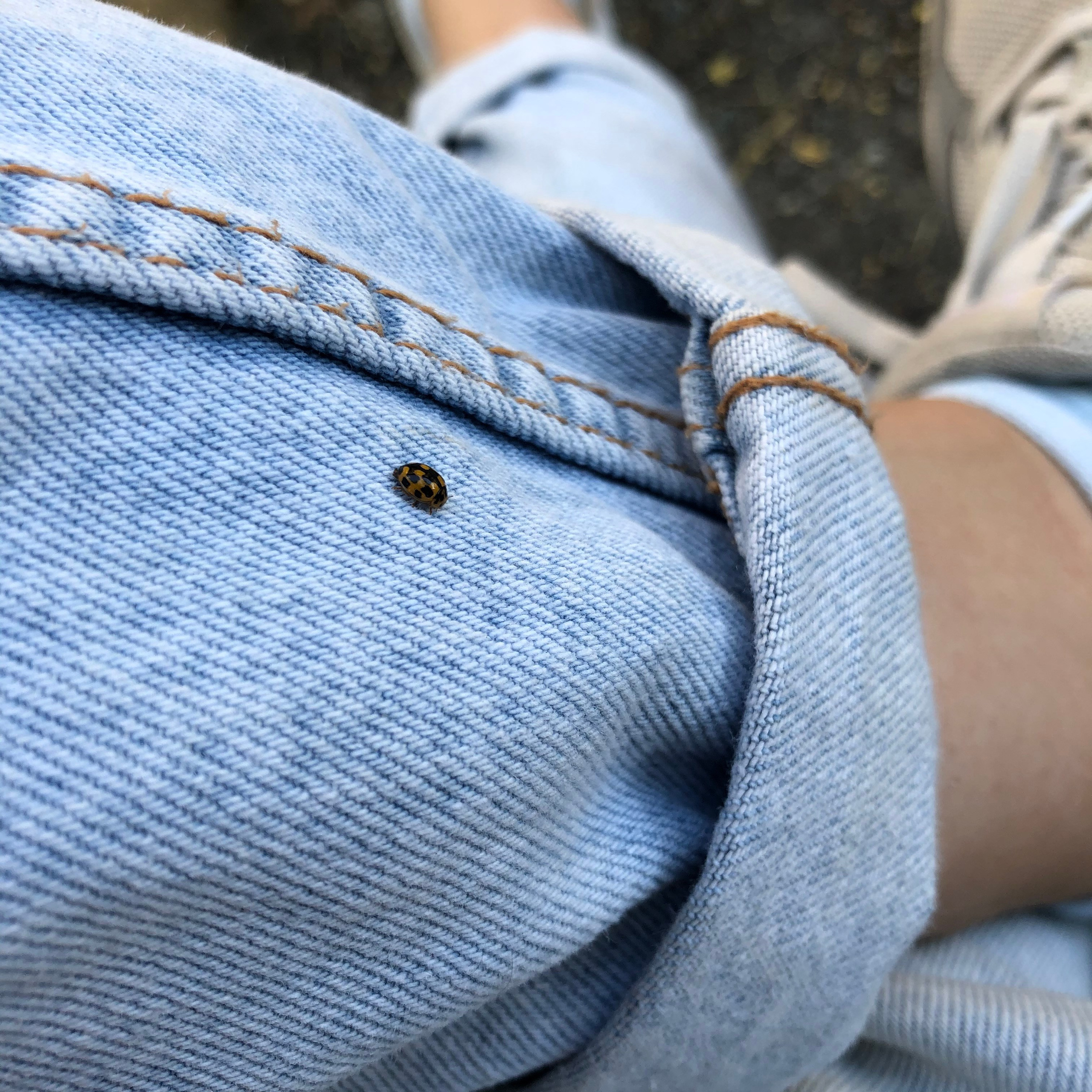 Визуальный дневник. Портретный фотограф в Москве Гахраманова Екатерина