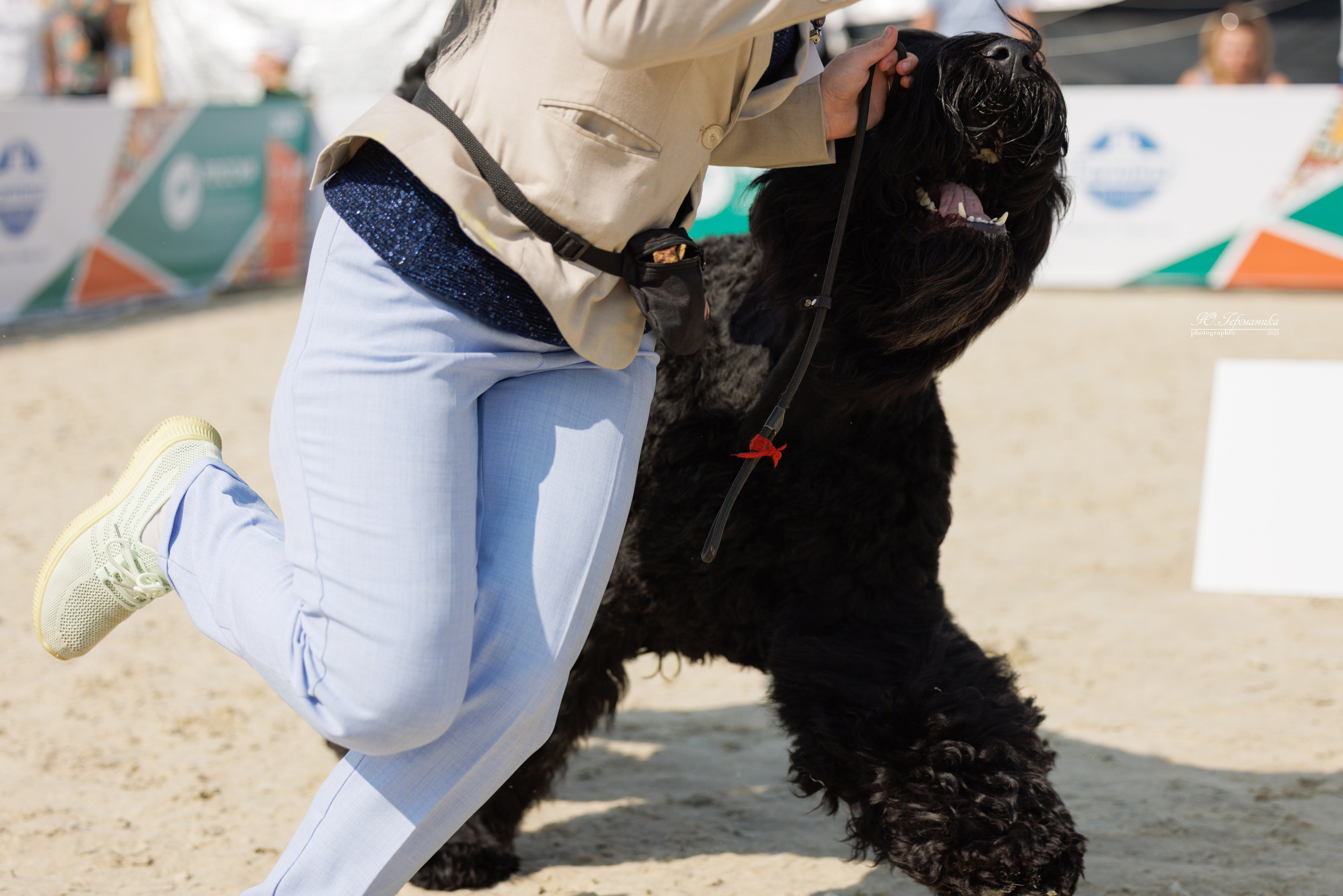 РОССИЯ 7-8.06.2025. Фотограф-анималист Юлия Германика