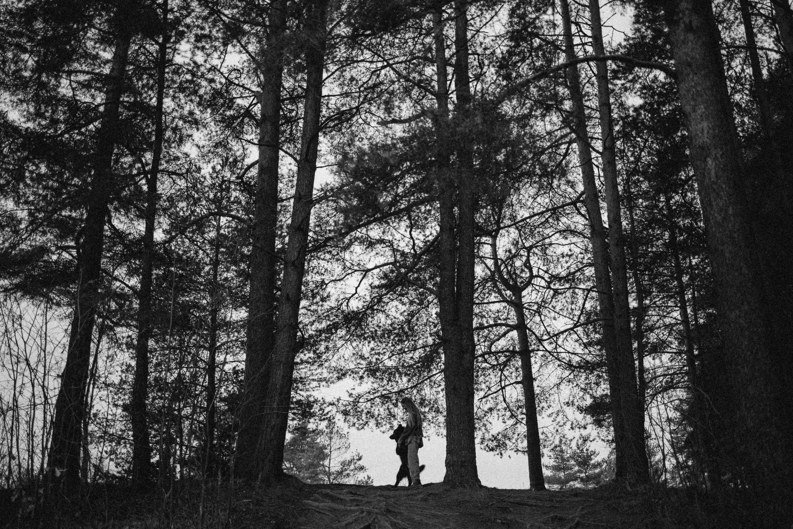 Лора и Джанго. Фотограф — Анималист | Санкт-Петербург