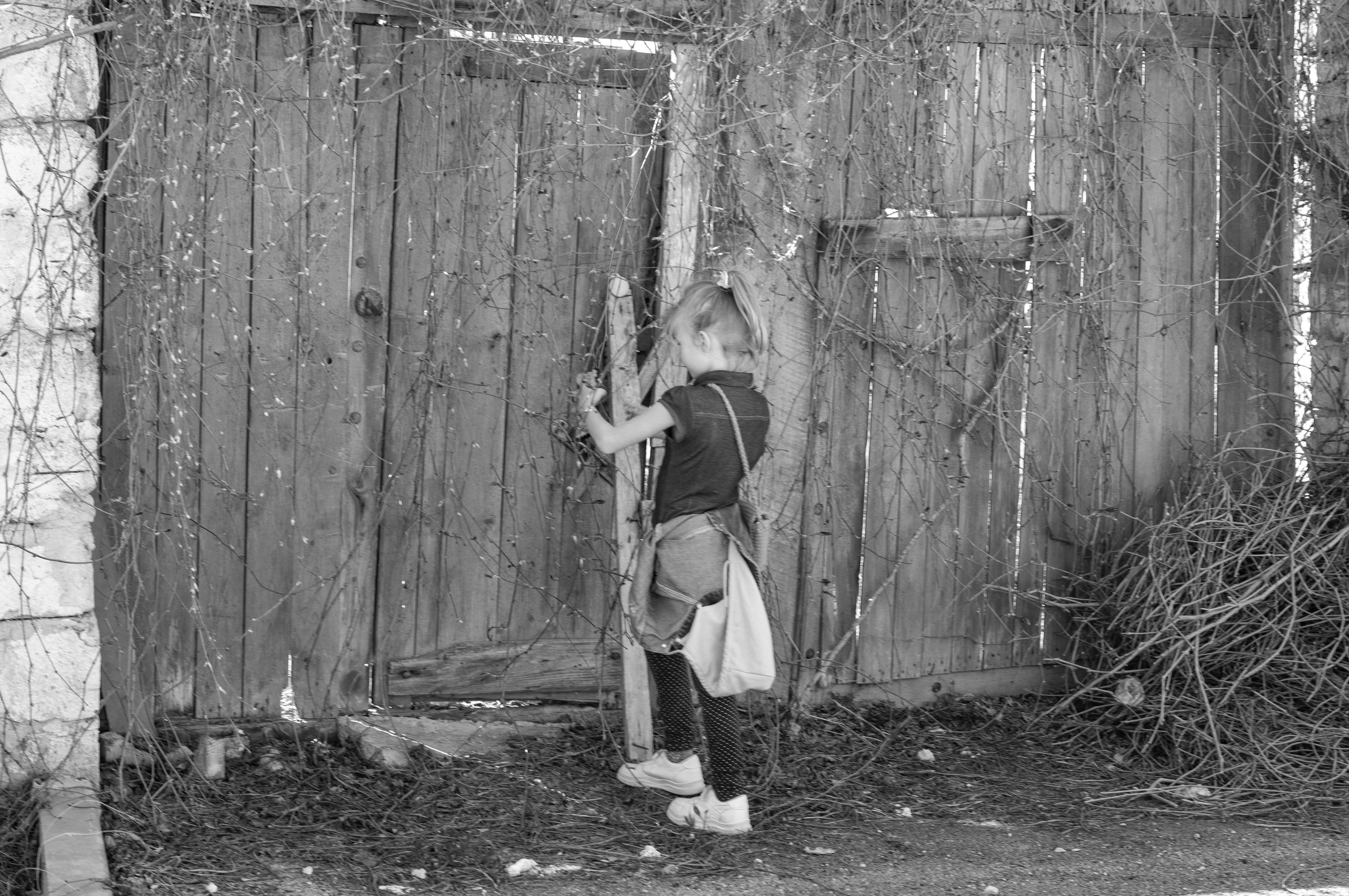 Чёрно-белая, магическая. Сейчас вылетит ПТИЧКА! Фотосессии в Керчи