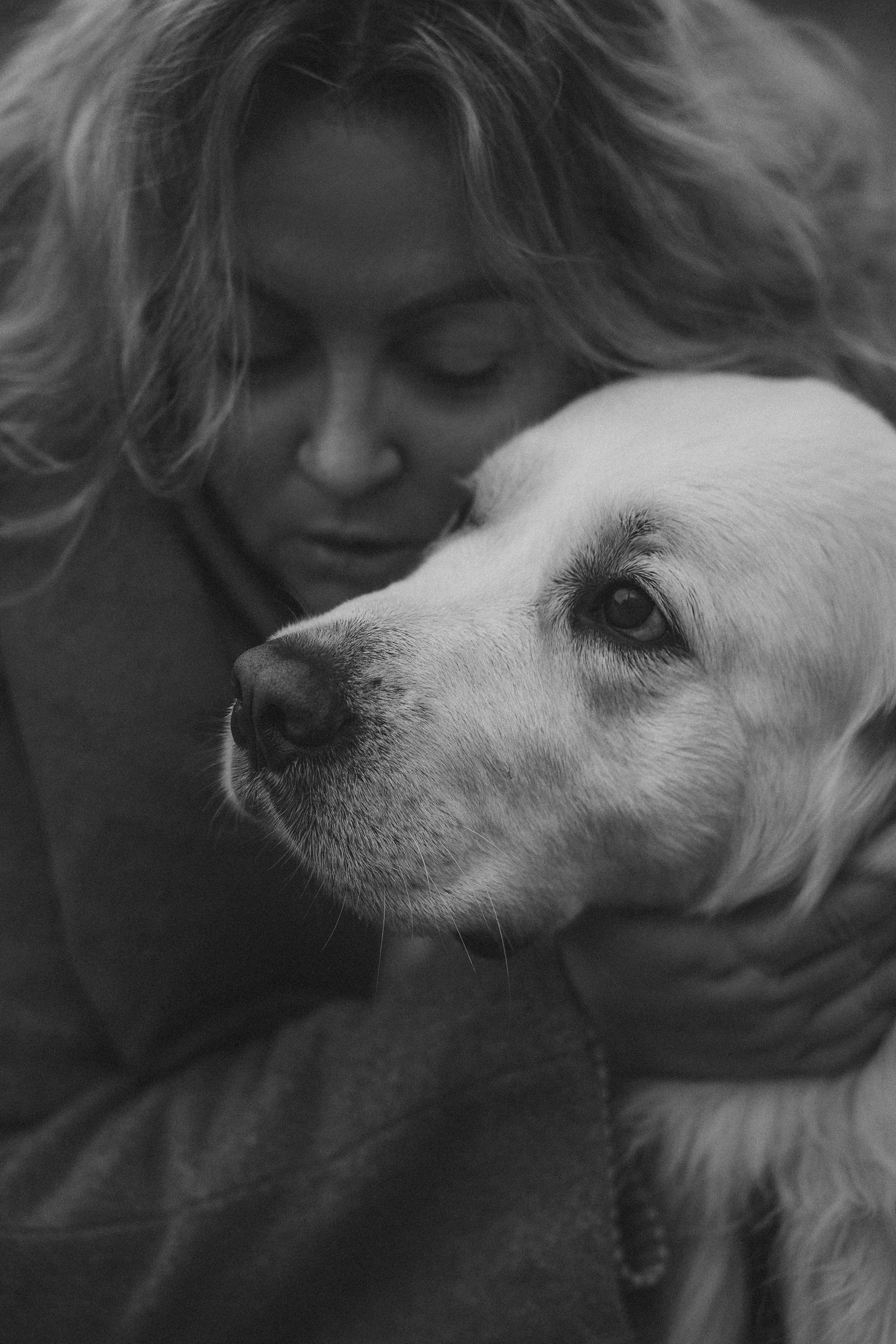 Лена и Мерлин. Фотограф анималист в Москве и Санкт-Петербурге Свиридова Анна