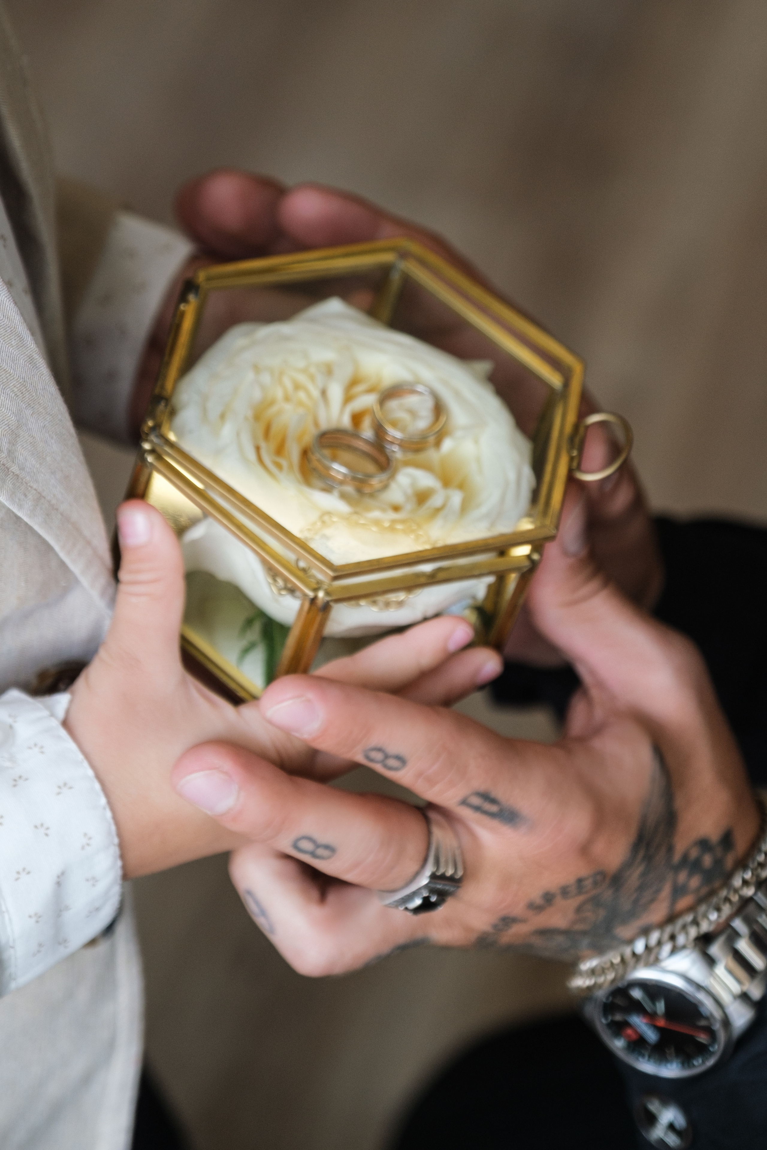 Wedding. Видеограф Фотограф в Сочи