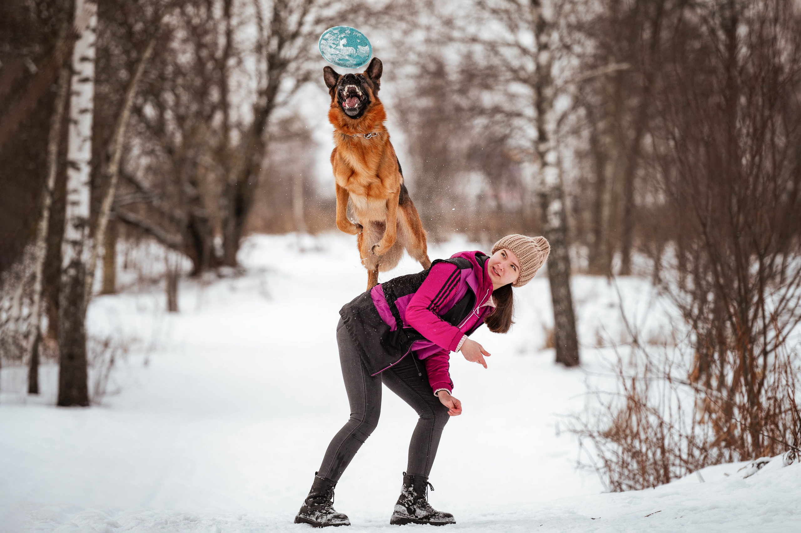 Вольт. Фотограф-анималист