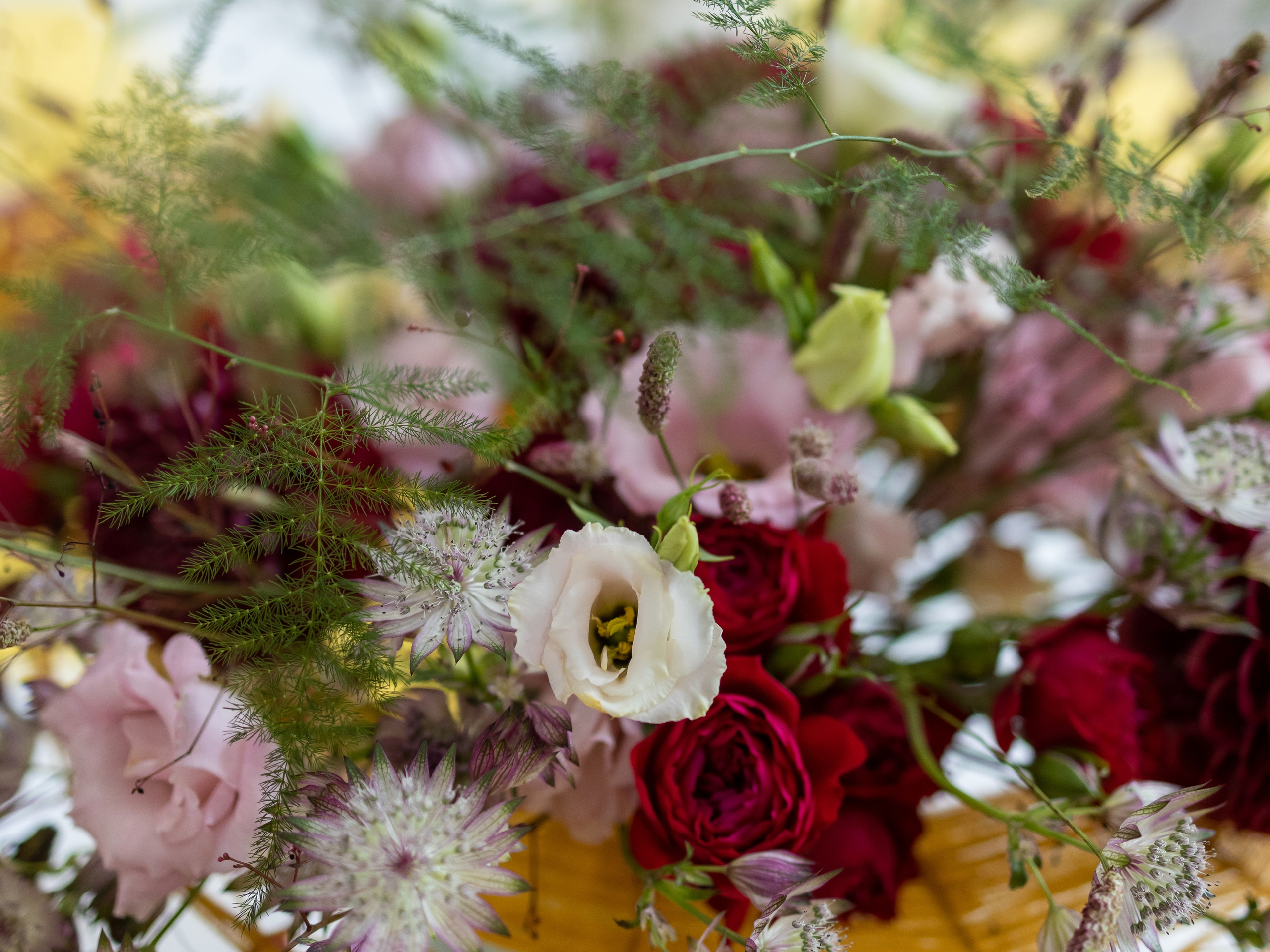 Цветы-Экспо 2024. Фотосессии и репортаж — Фотограф в Москве — Рина Серёгина