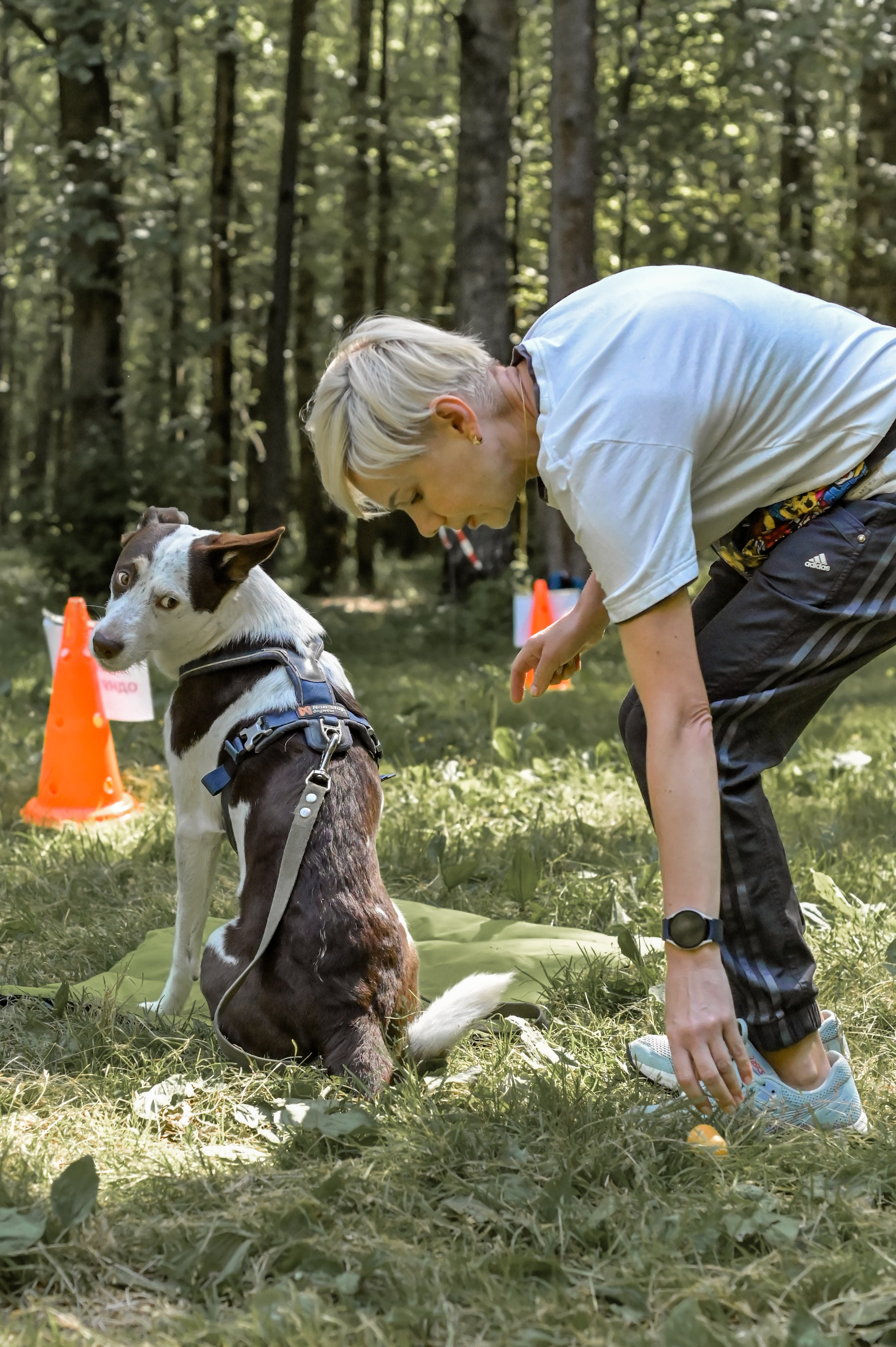 Кинологические соревнования. Семейный и репортажный фотограф в Москве Анастасия Трубкина