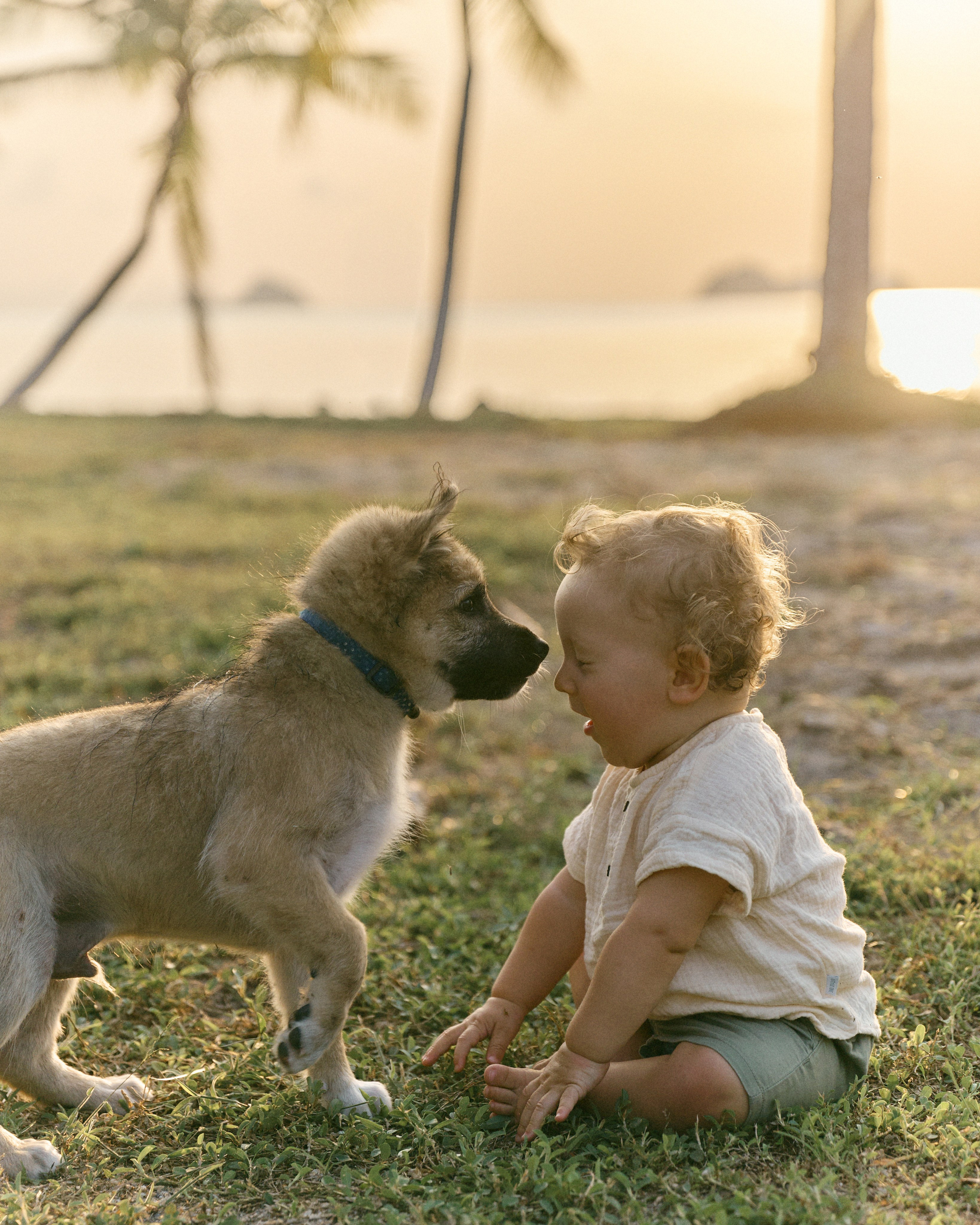 Portfolio: Love Story/Family. Photographer Alina Malinkina