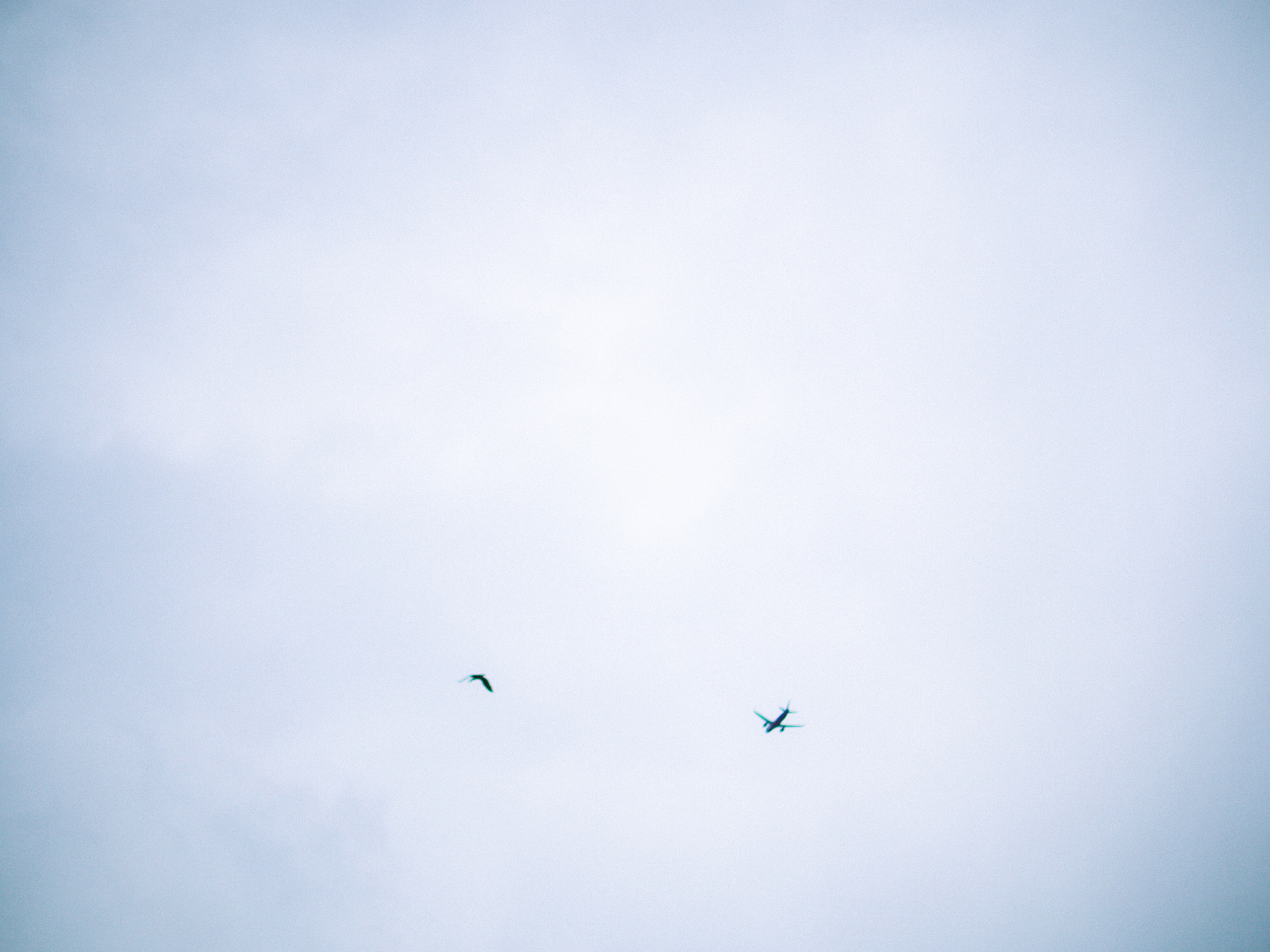 Seaside. SHILOVA PHOTO. Шилова Екатерина. Фотограф. Москва