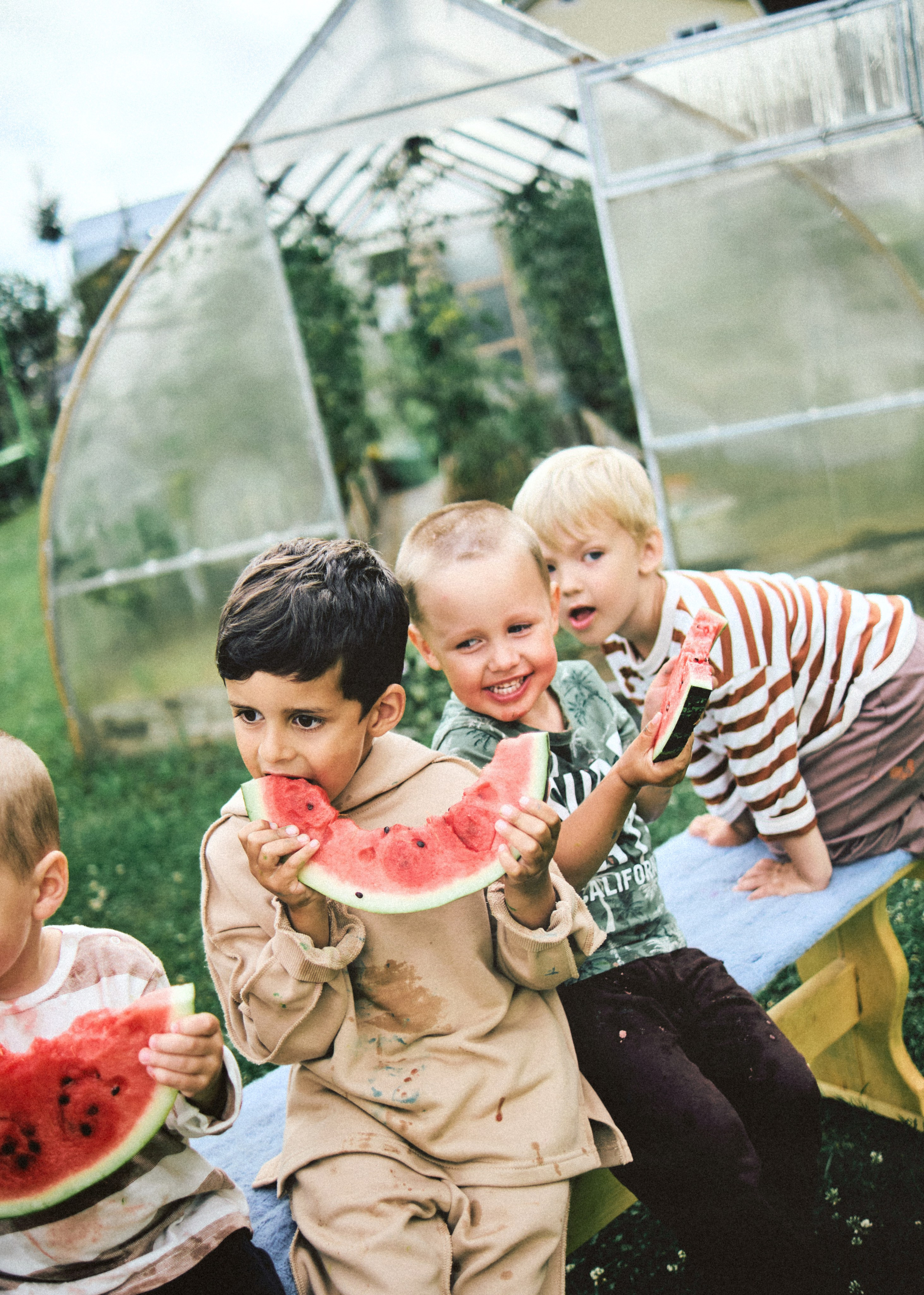 Банда. SHILOVA PHOTO. Шилова Екатерина. Фотограф. Москва