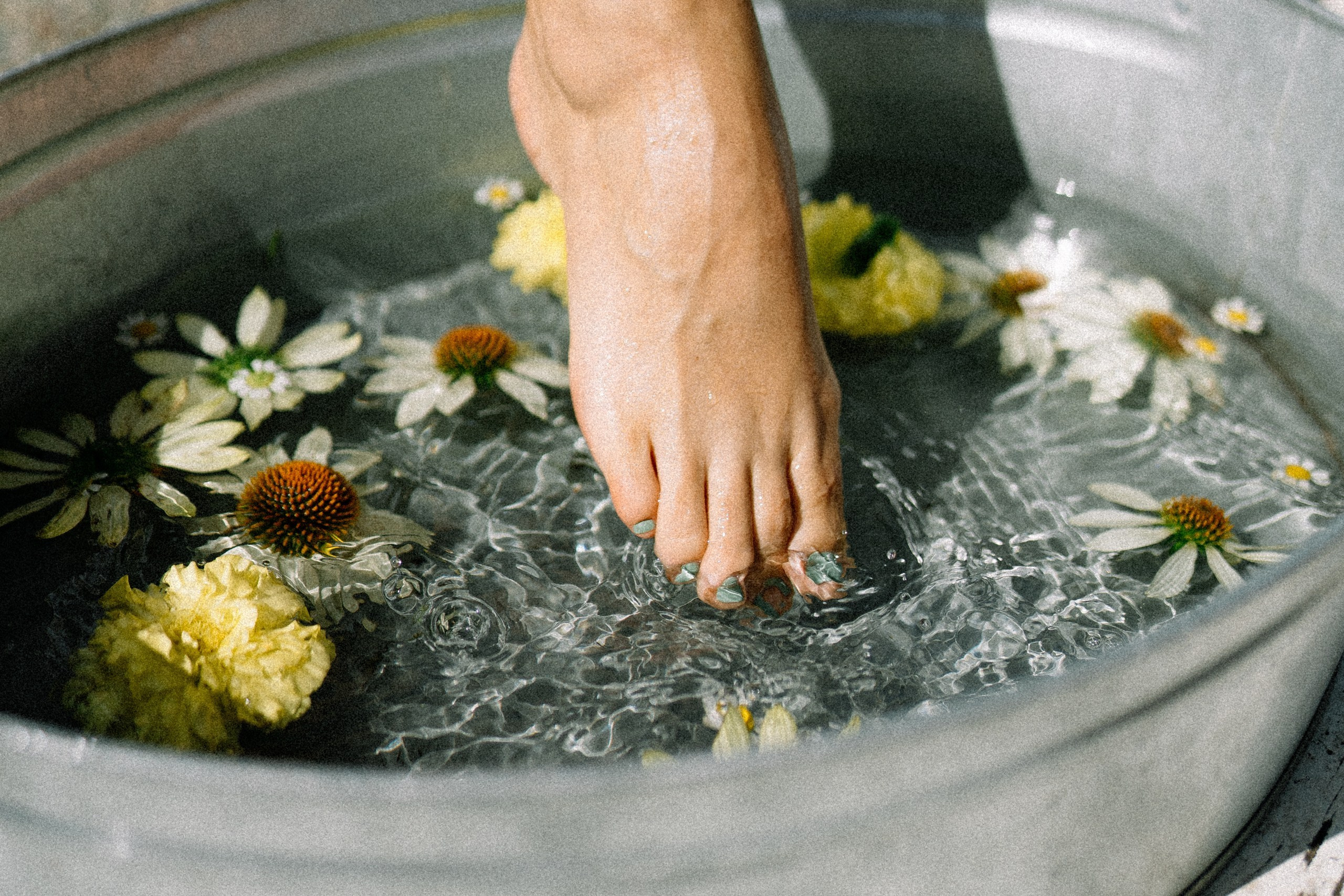 Семейная дача. Андрейко Надежда