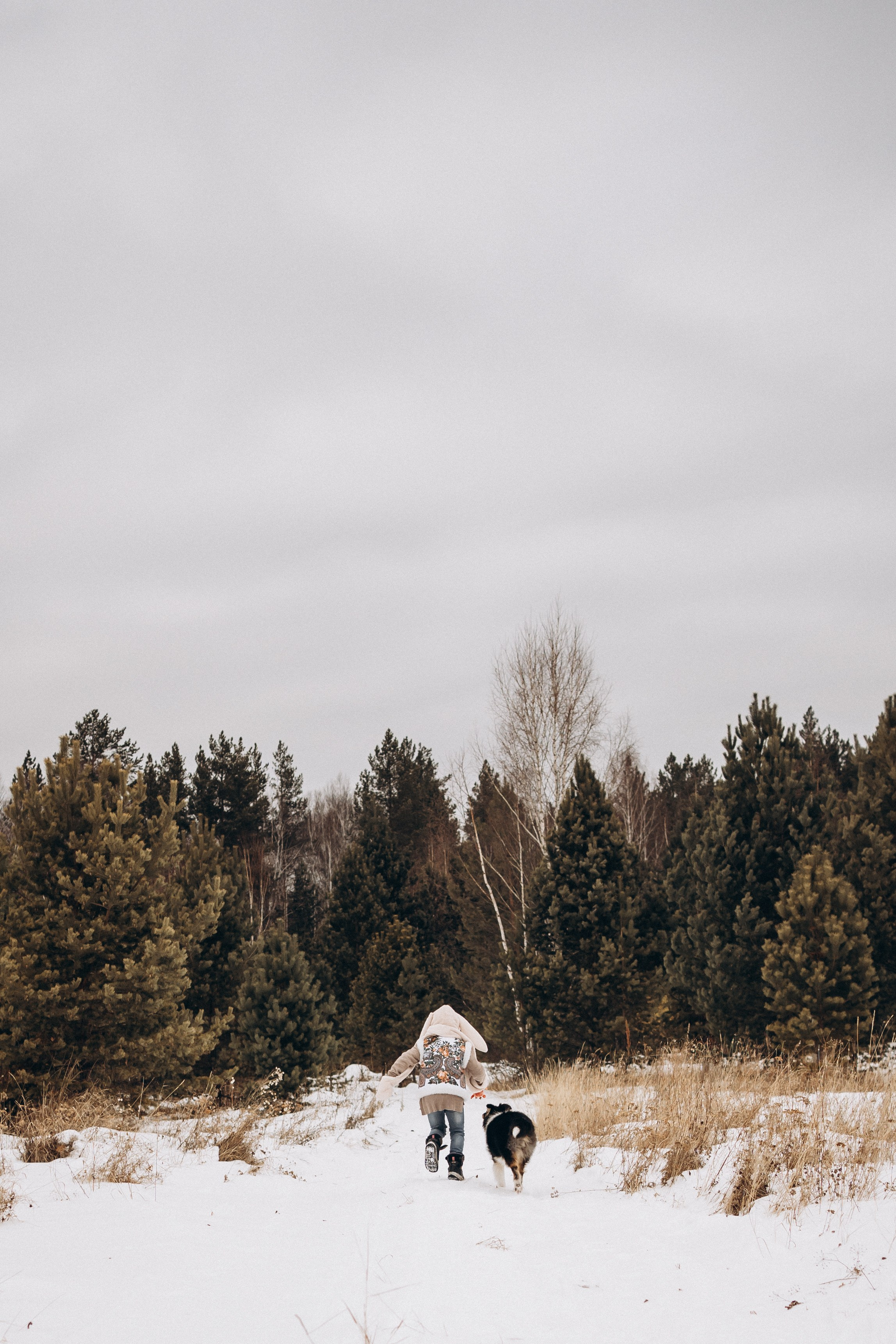 Альма. Фотограф-анималист Анастасия Большакова