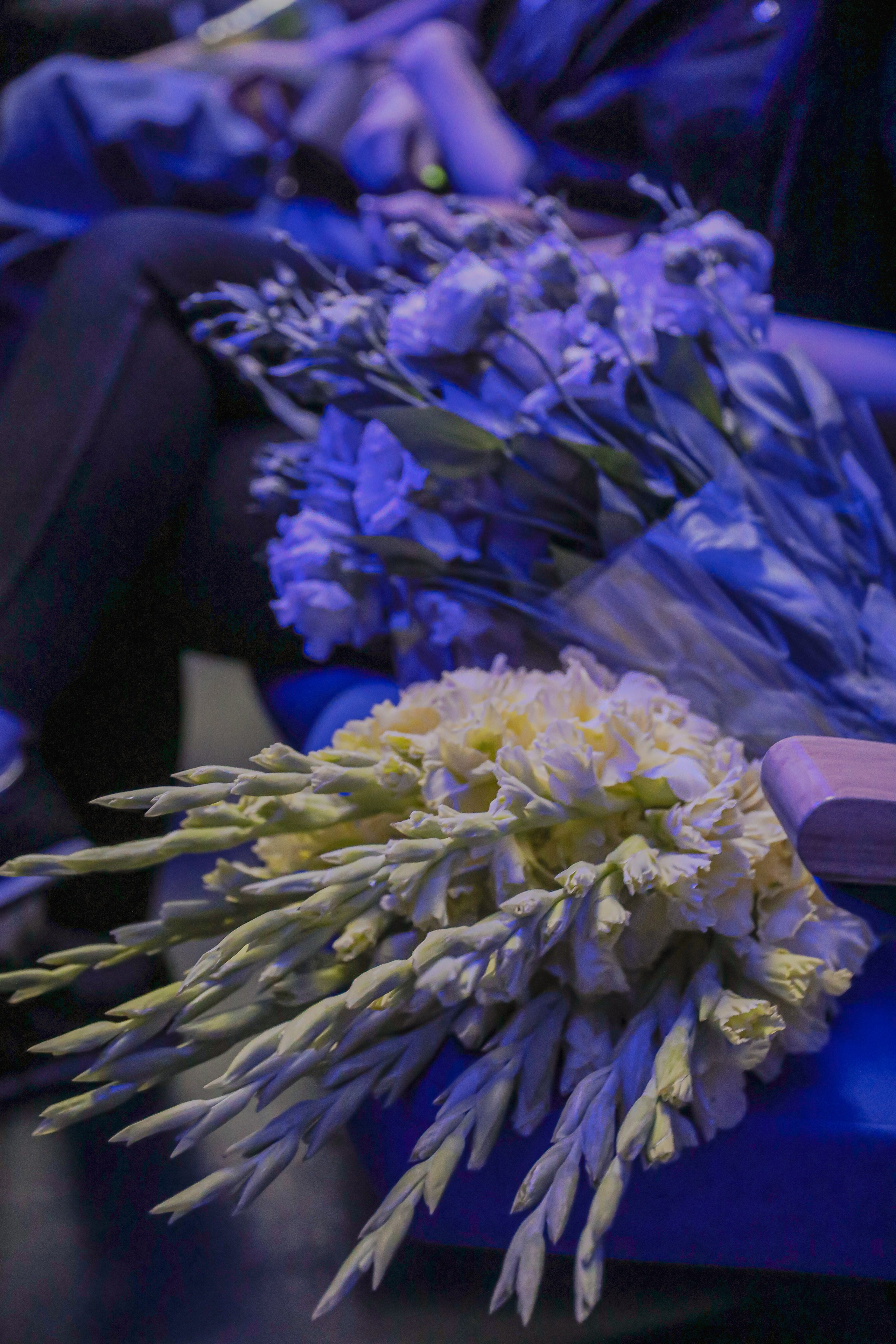 «ПАВЕЛ ВОЛЯ STAND-UP». Photographer Viktoriya Markushina «My world throug»