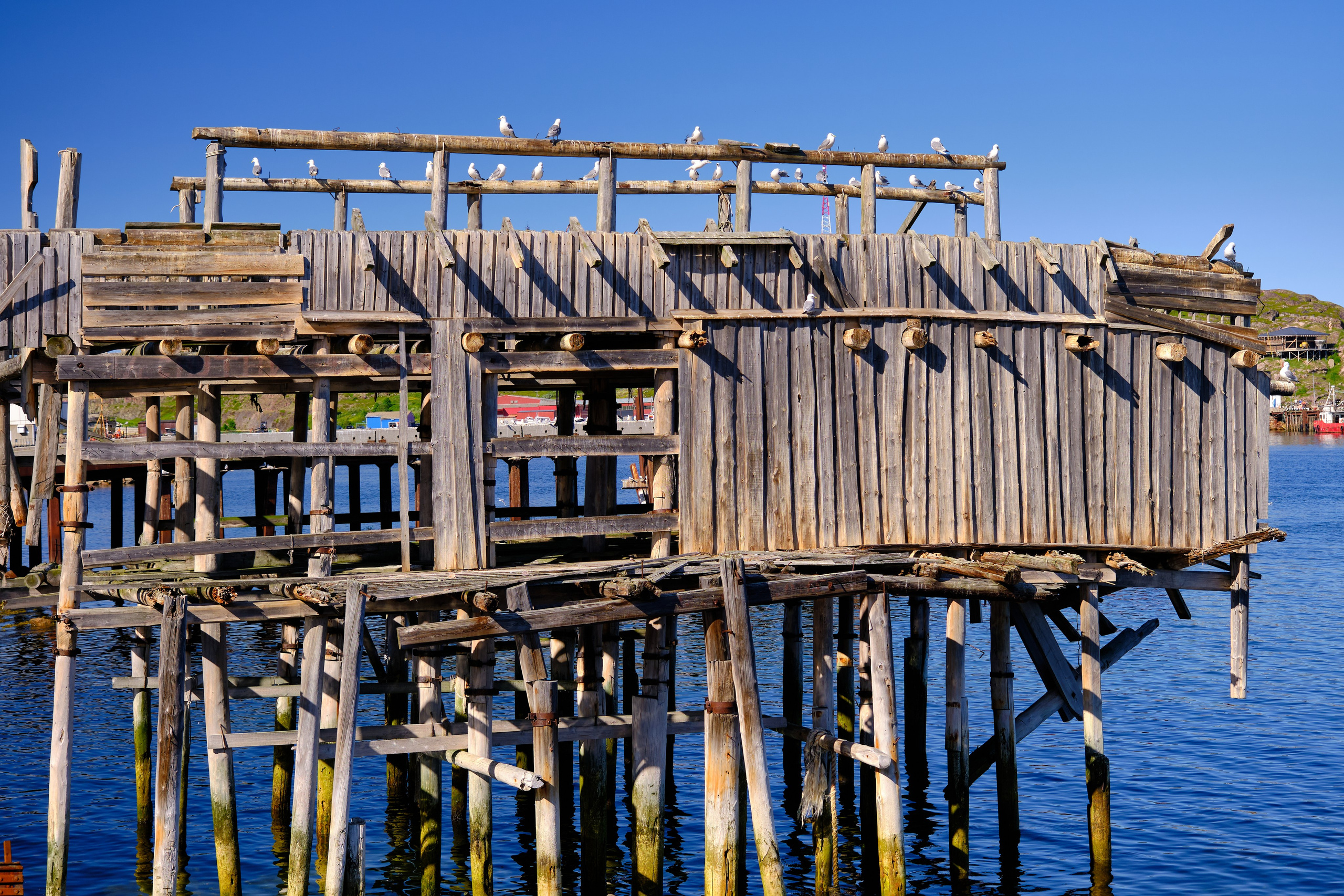 Териберка. Пейзажи Крайнего Севера. Баренцево море, Рыбачий, Средний, Немецкий