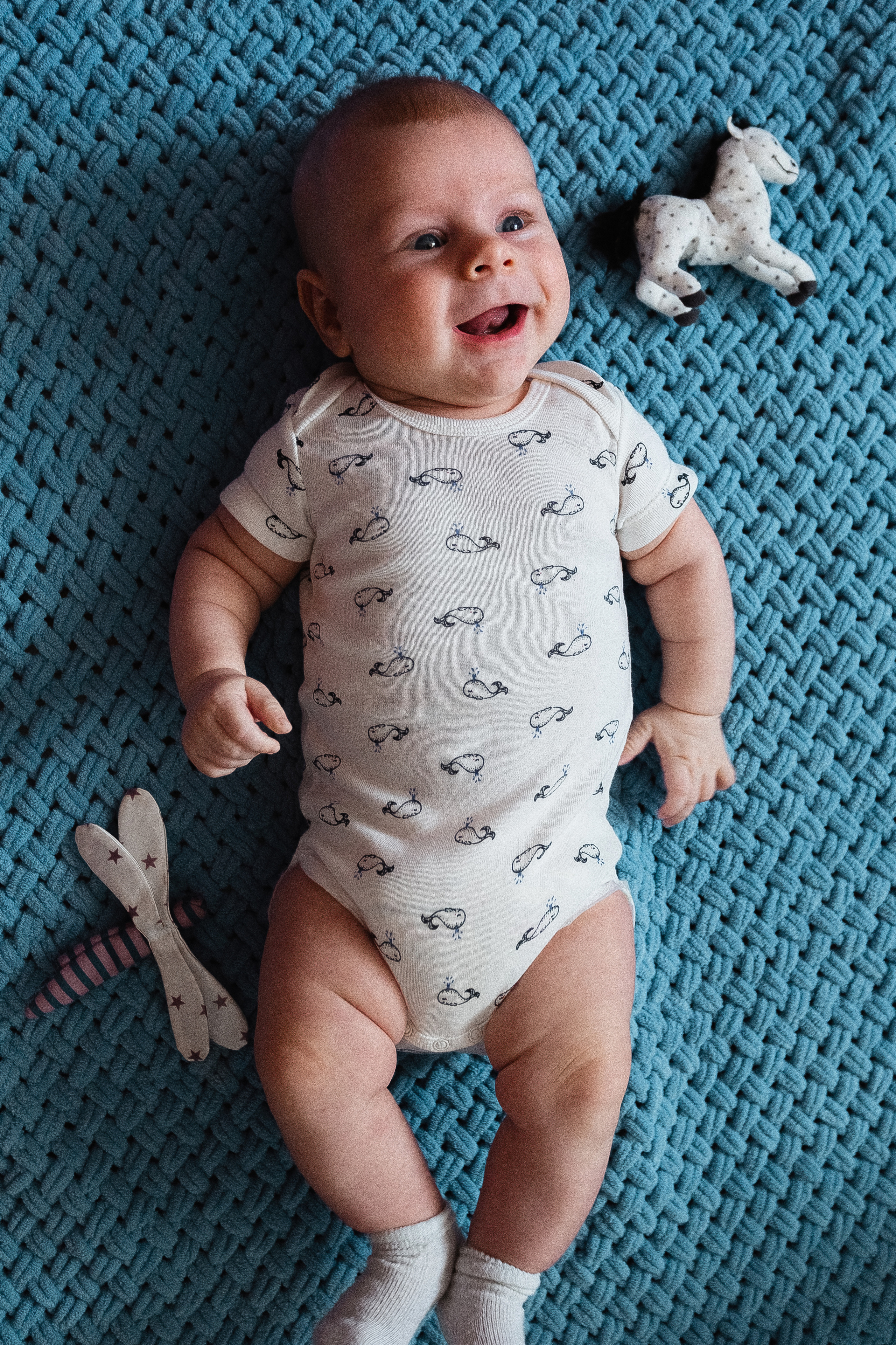 Гармония в однушке. Фотограф в  г. Новосибирск