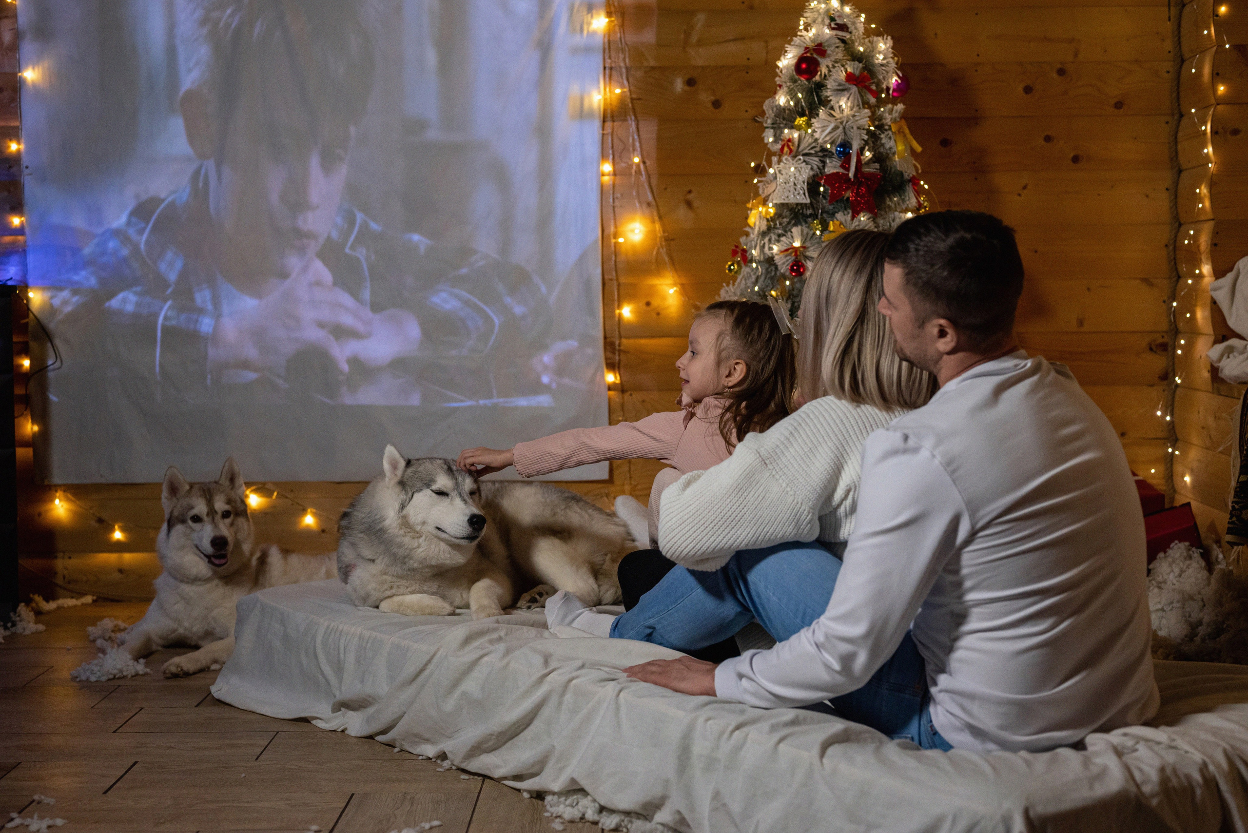 Фотопроект с хаски 2024 г. Фотограф в городе Салават