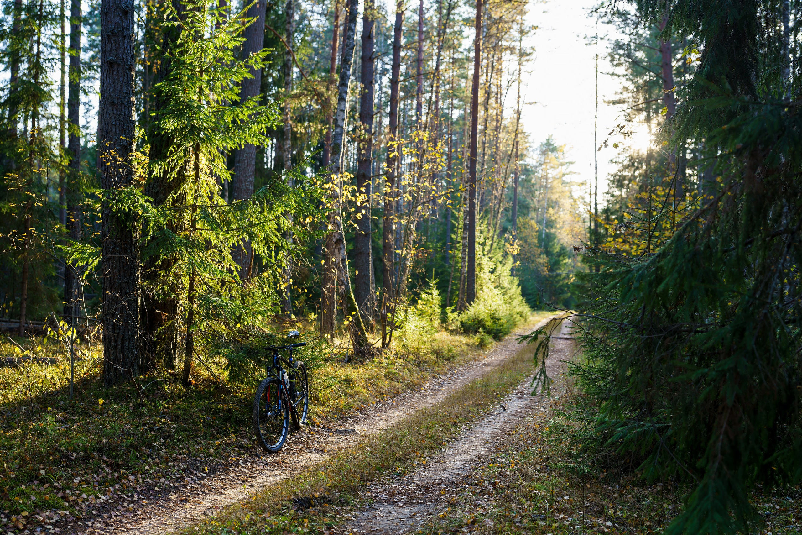 Фотографии Национальный парк Угра. Фотограф спортивные события, недвижимость, турбизнес