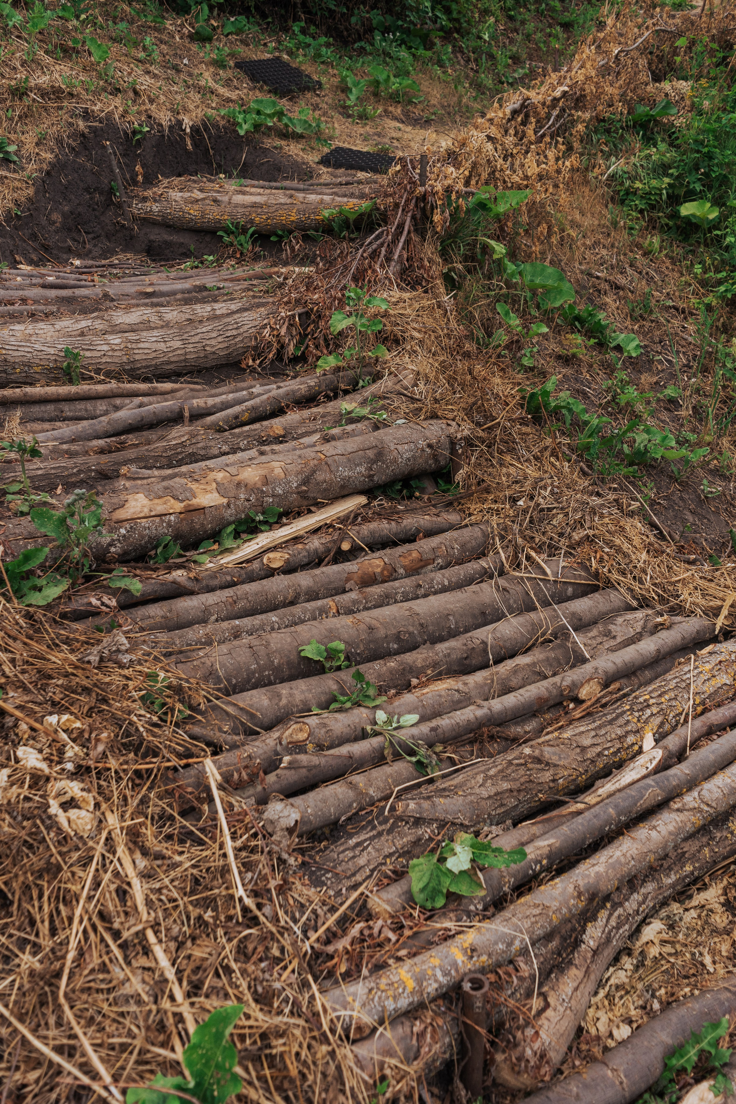 Ретрит от т-центра Псайторий 2024. Портретный фотограф Нижний Новгород