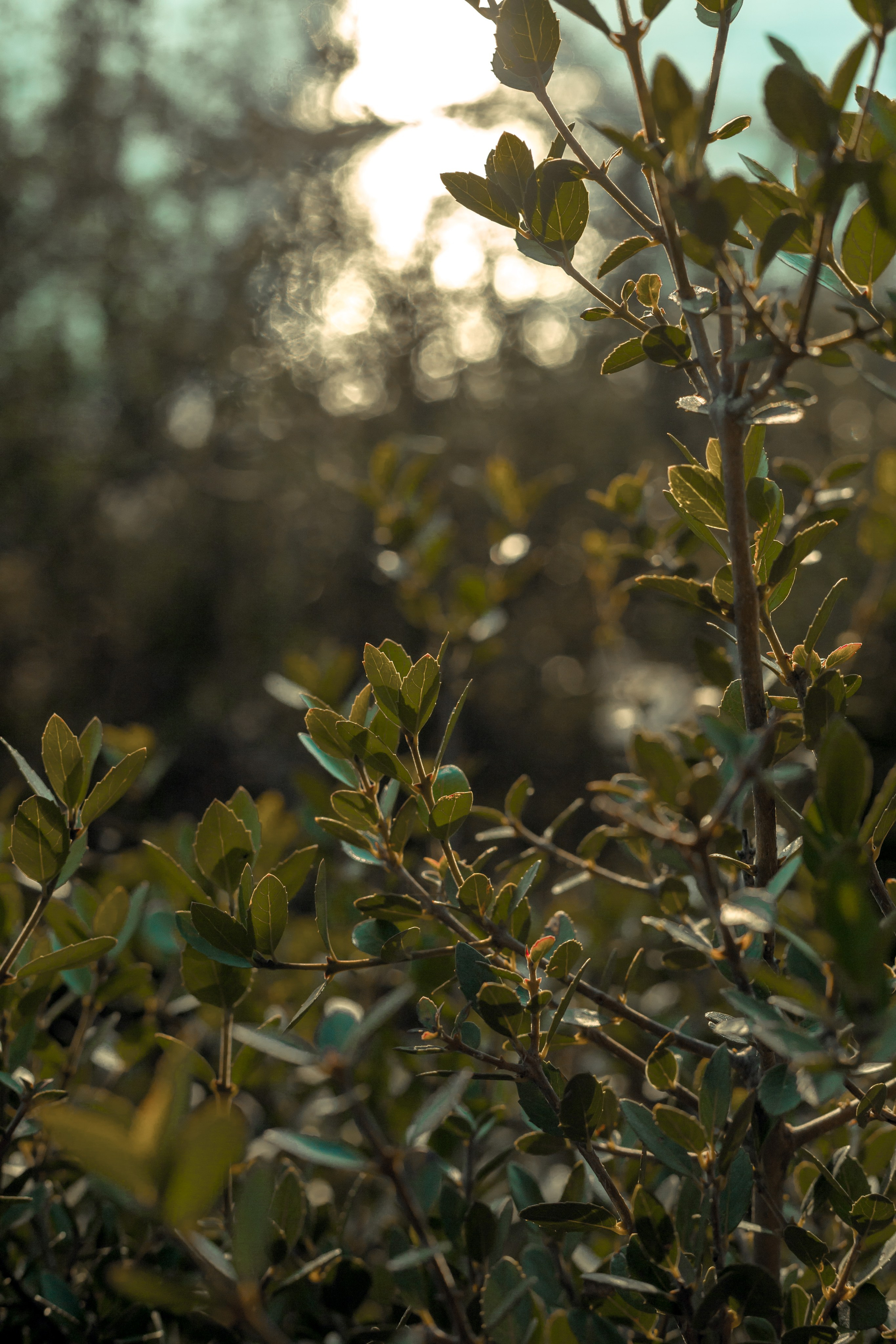 Turkey, Alanya. Art Photographer