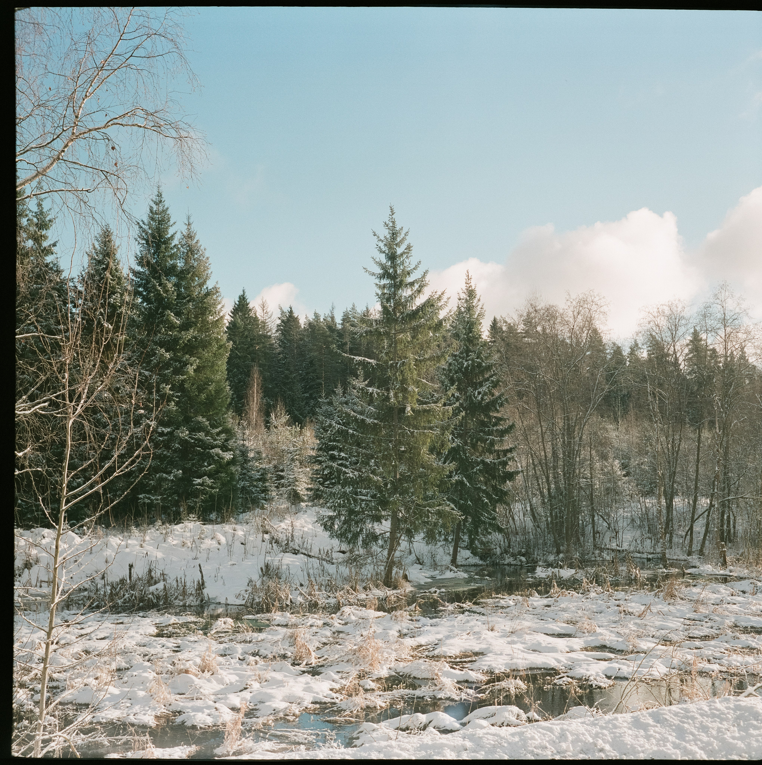 Fujicolor PRO 400H примеры фотографий