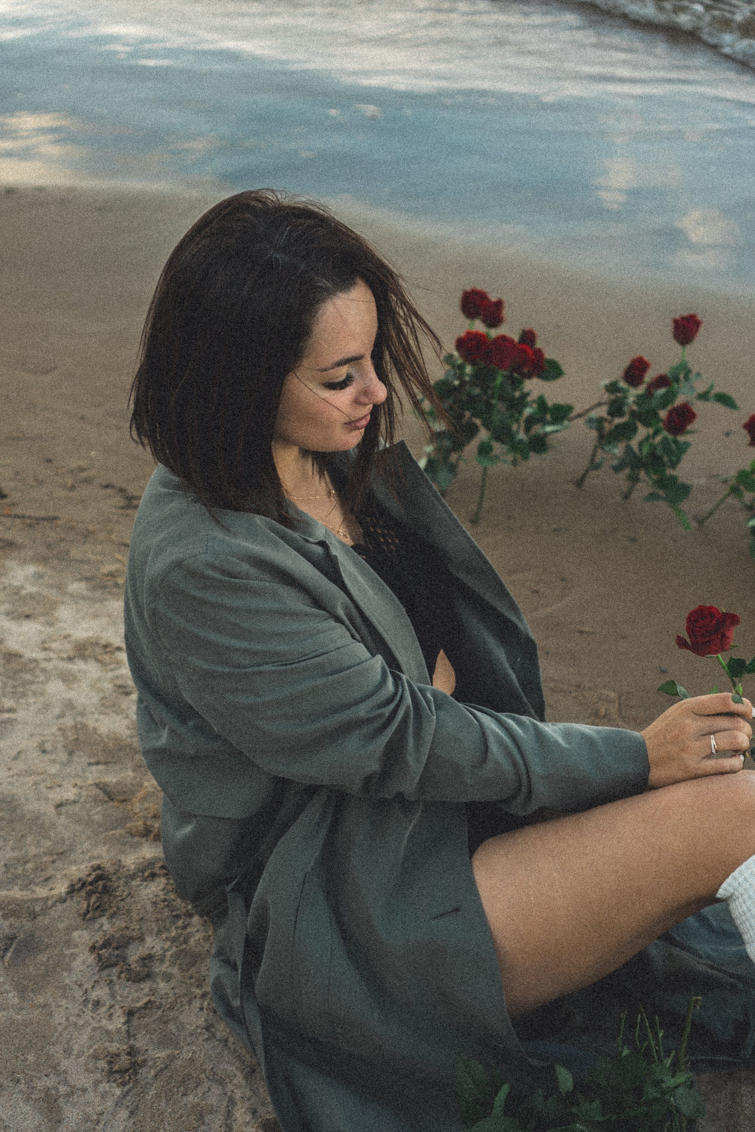 Розы. Профессиональный фотограф, Санкт-Петербург — Виктория Богомолова