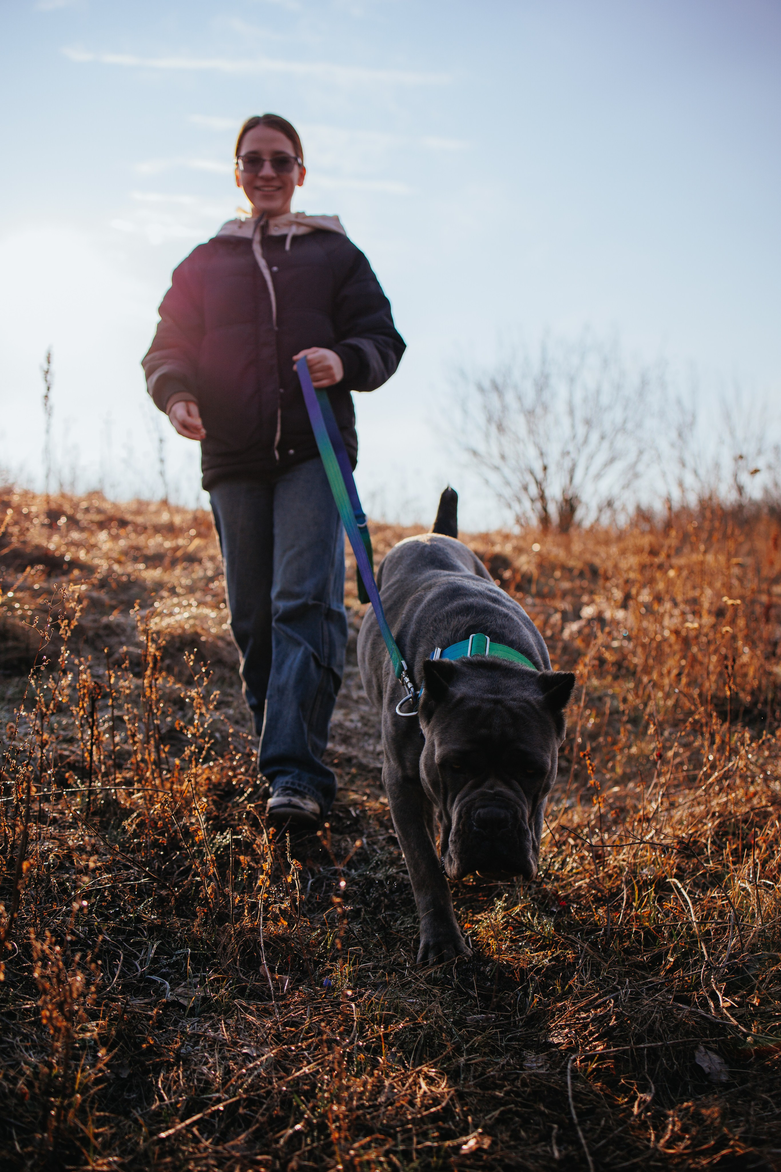 Лера, Ума и Винни. Фотограф — анималист Светлана Кысса|фотограф собак в Краснодаре и Нижнем Новгороде