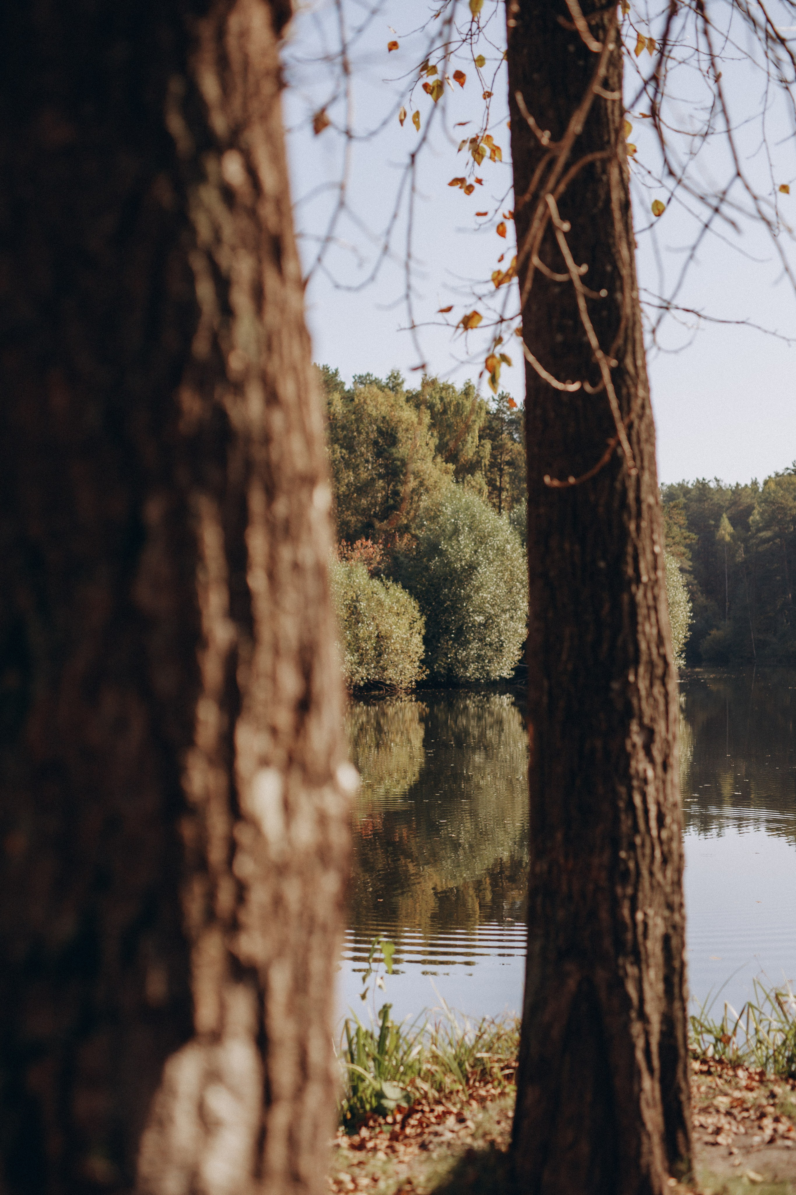 Елена и семья. Фотограф Анастасия Петрова