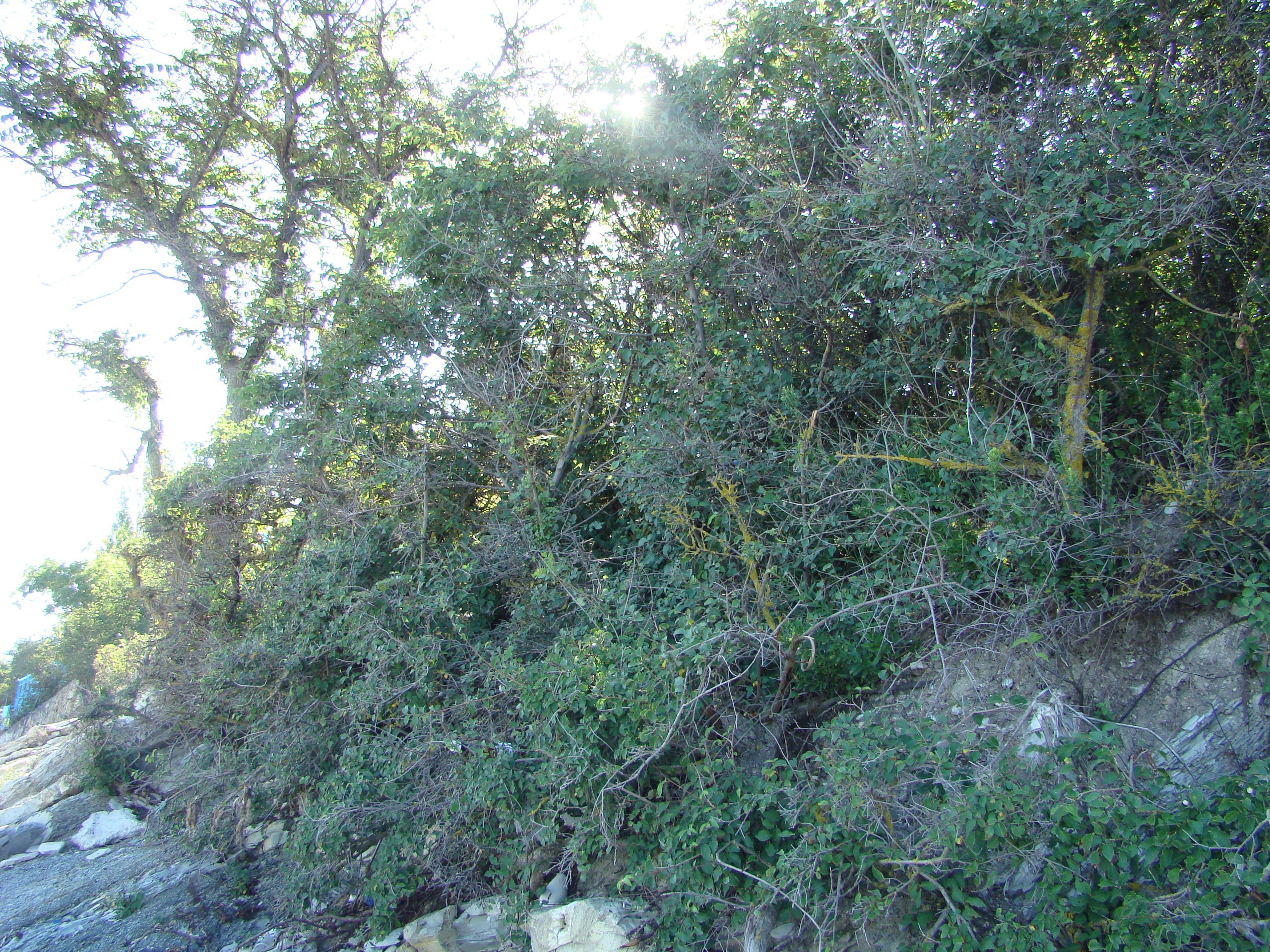 Кабардинка (фото Зевиных) 25.06-24.07.2008. Семейный, Свадебный фотограф СПБ Питер— Романова Екатерина