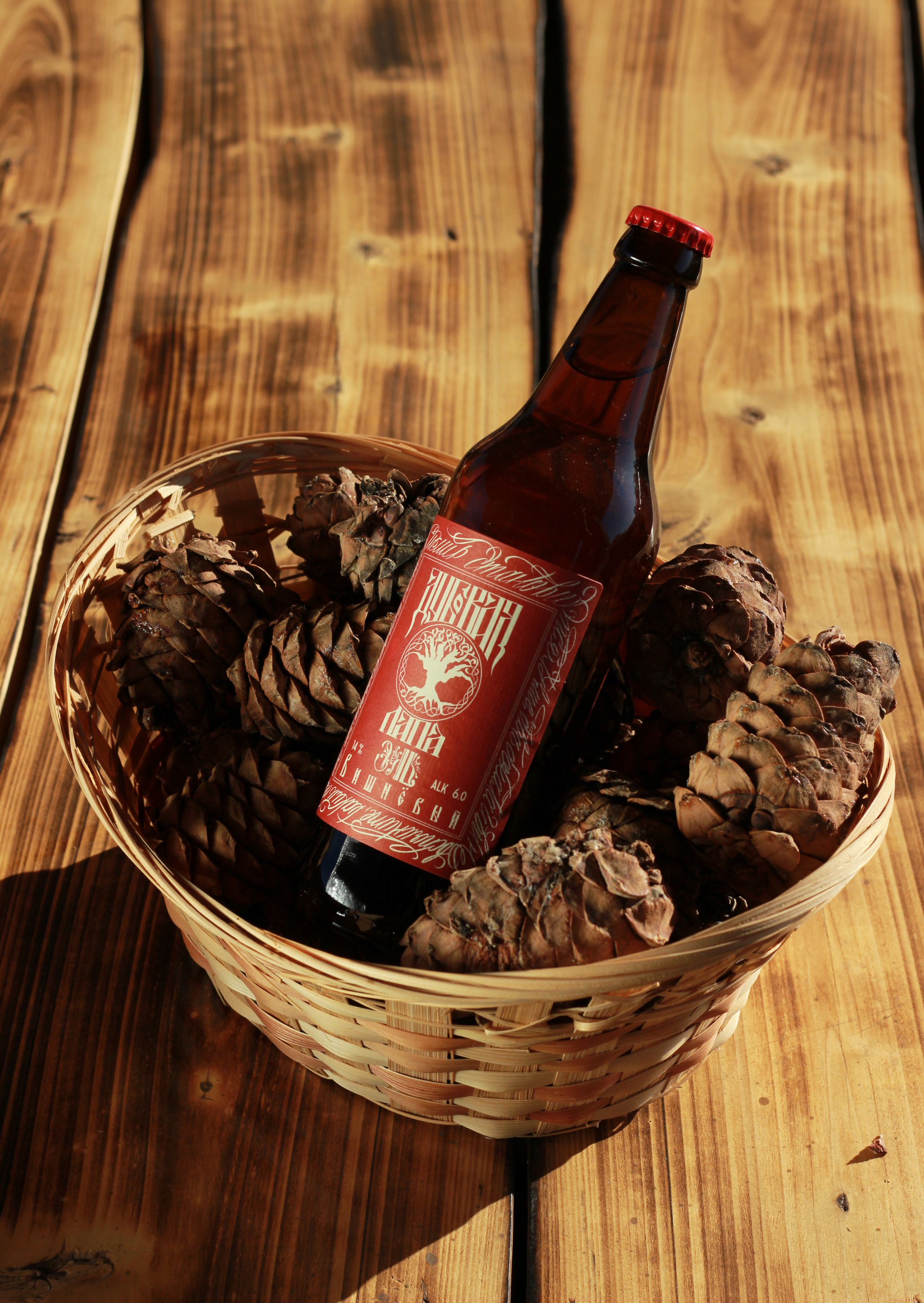 Рекламная и контент съемка. Студия подкастов в Волгограде