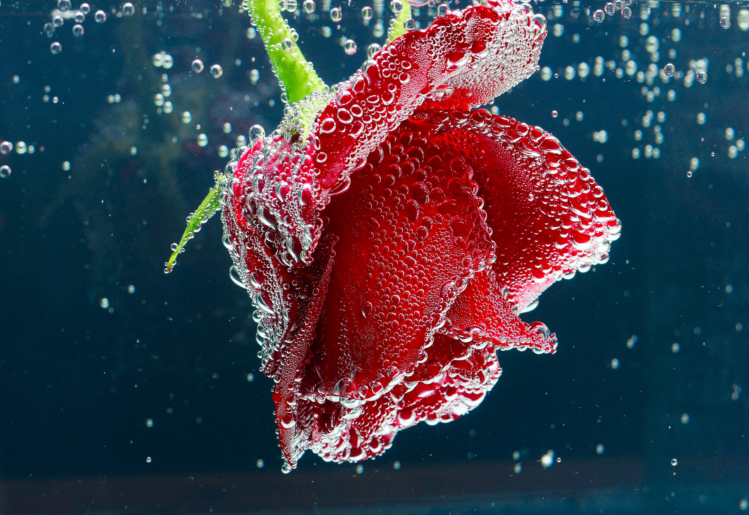 Рекламная и контент съемка. Студия подкастов в Волгограде