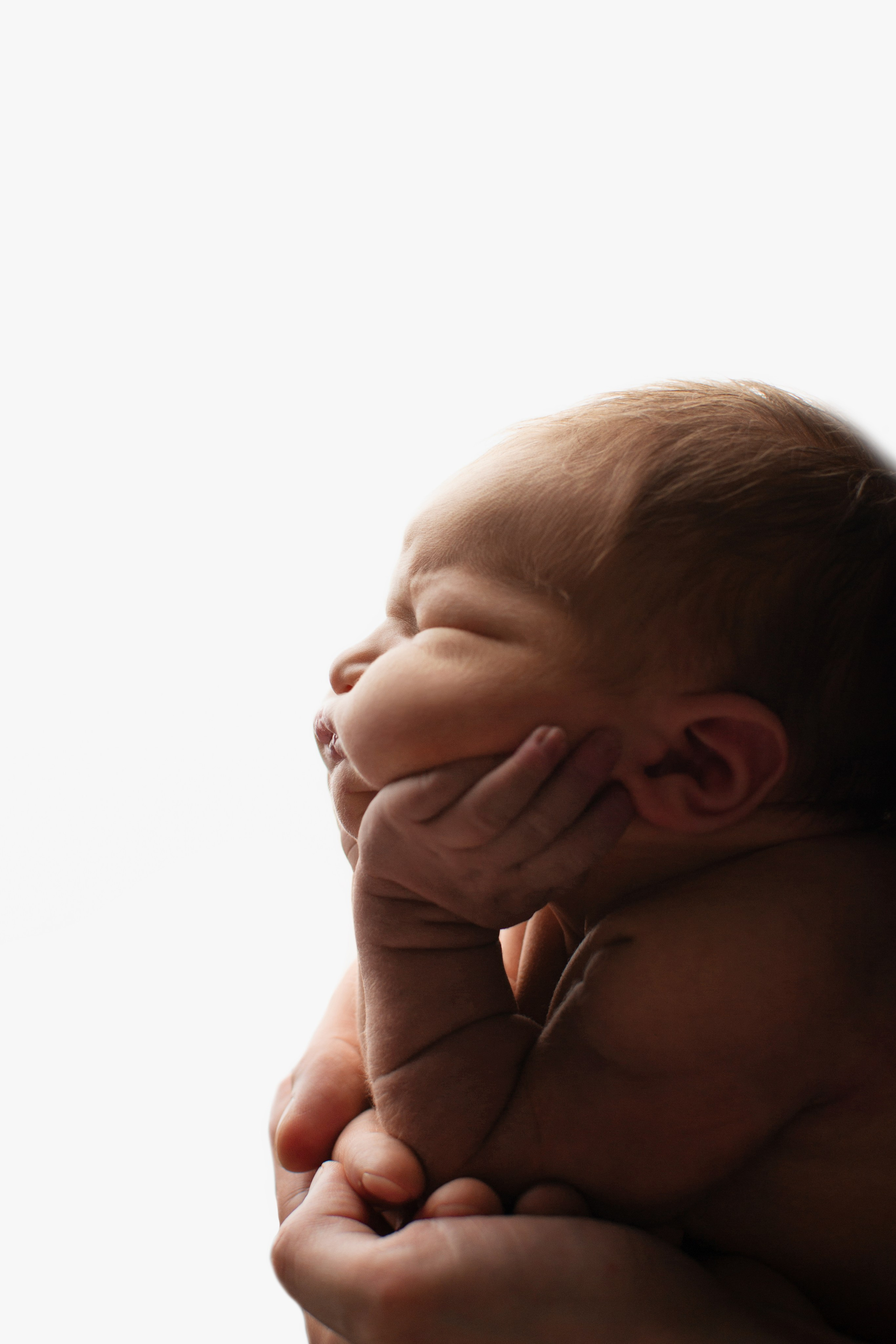 Фото новорождённых. Фотограф новорождённых в Новомосковске Яна Иванушкина