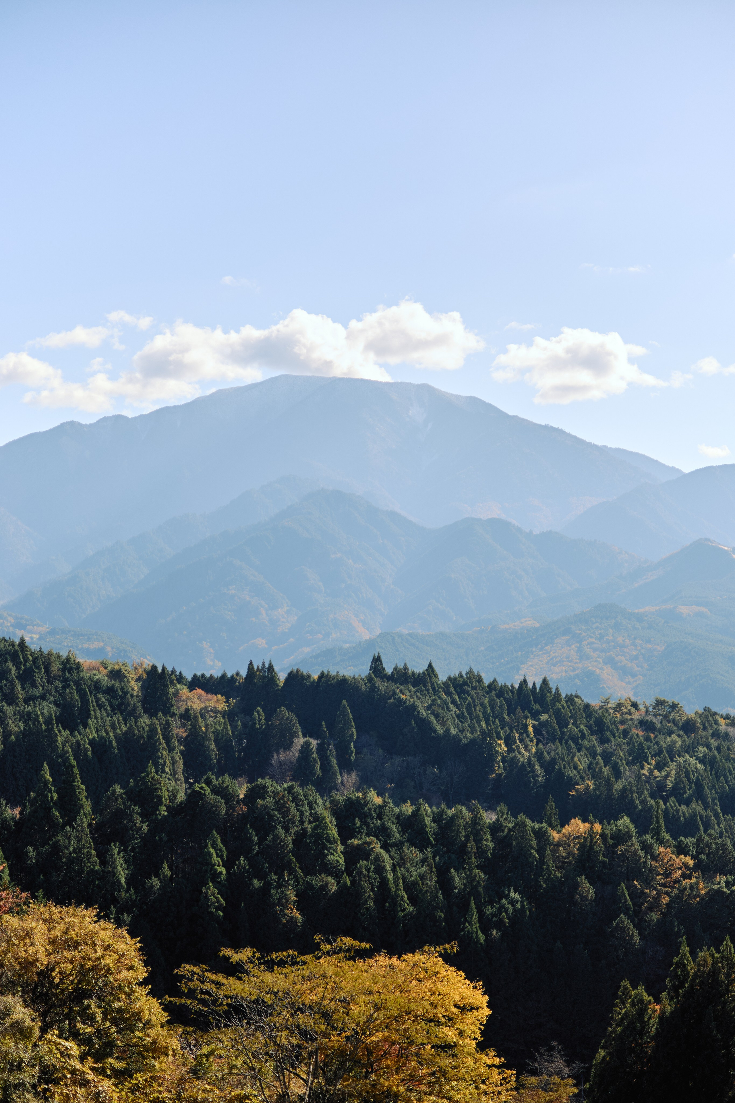 Япония. Профессиональный Фотограф во Владимире, в Москве и в Суздале — Полина Романычева