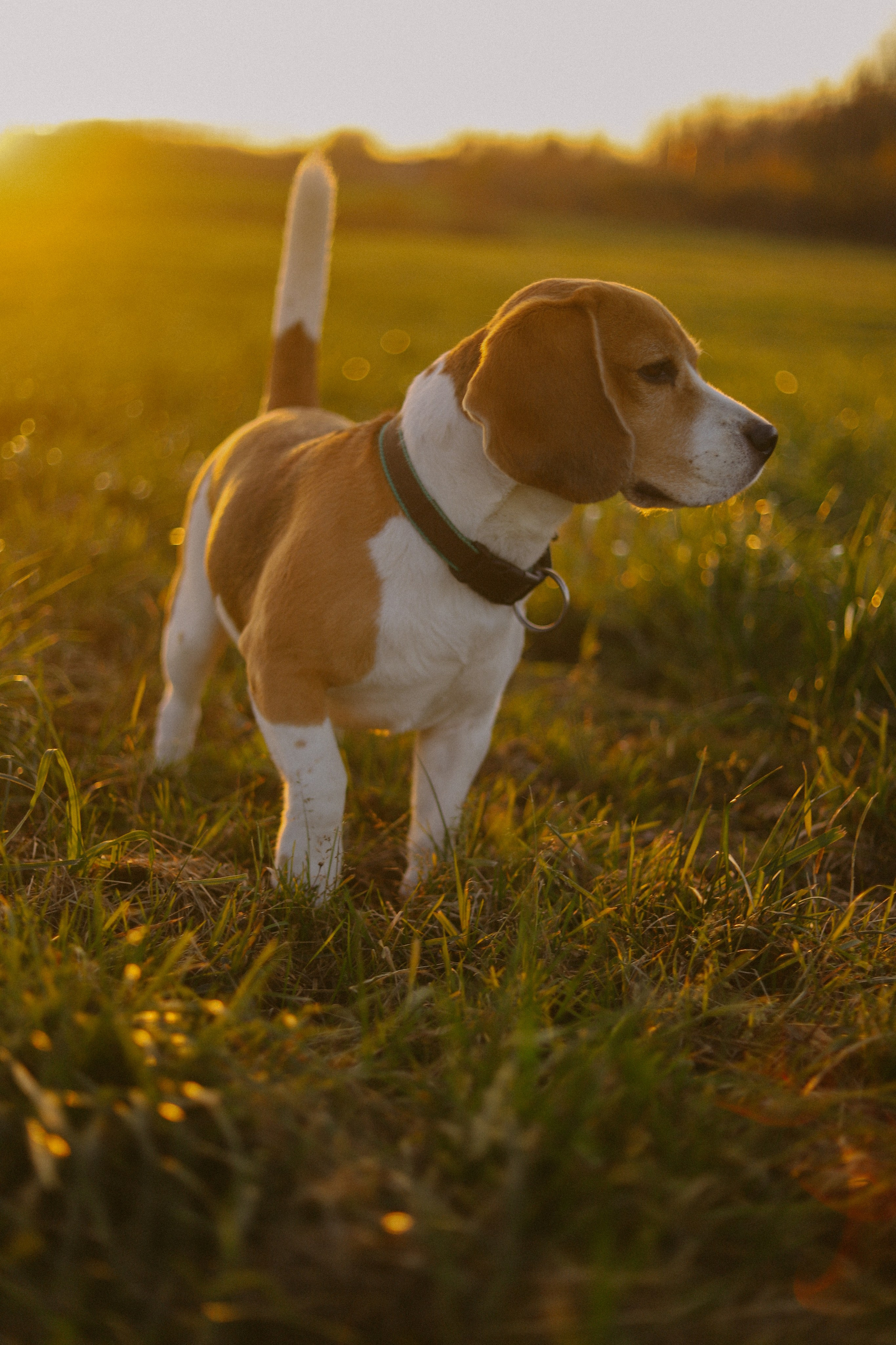 Семейное. Фотограф Москва и Санкт-Петербург