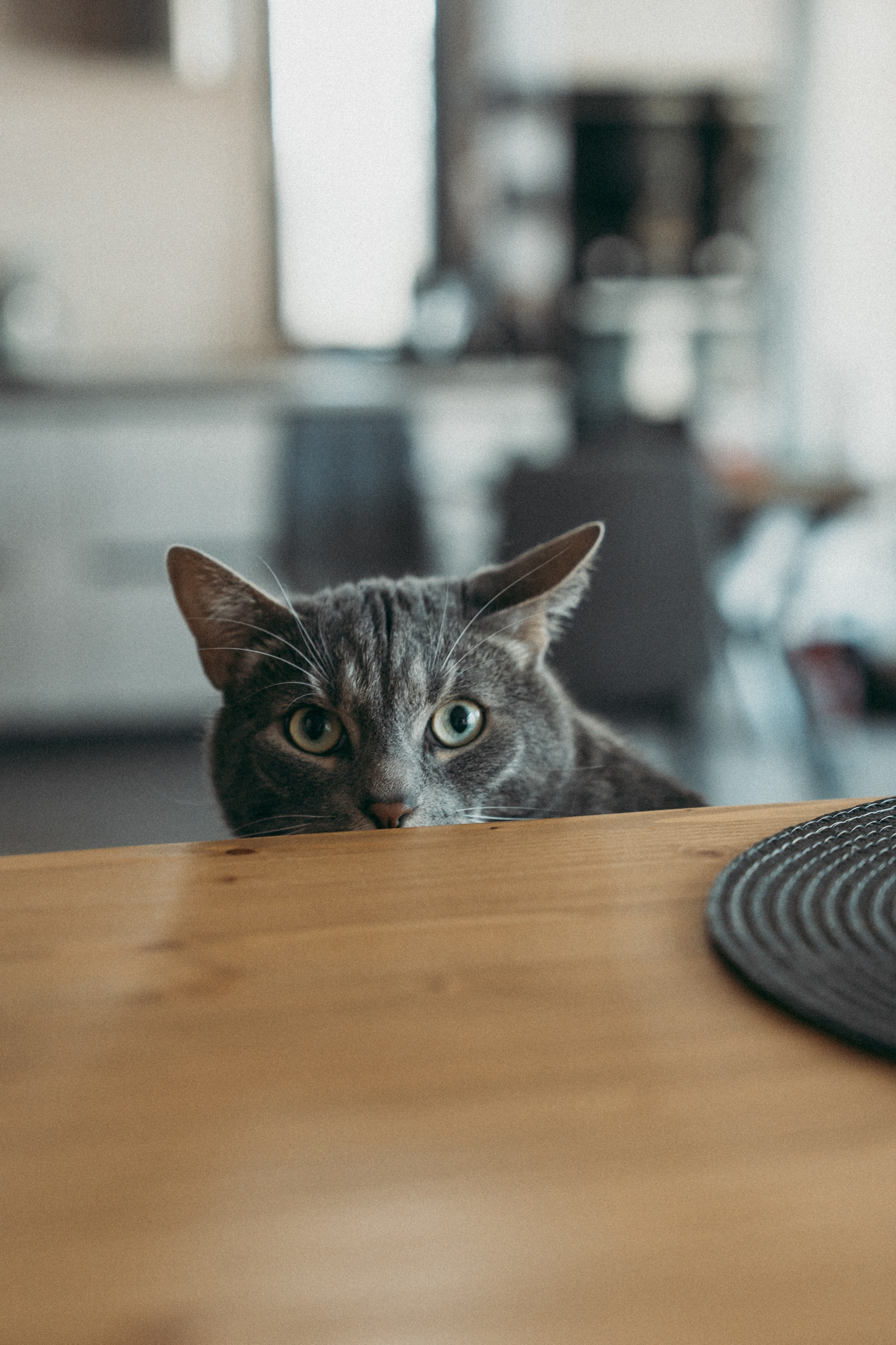 Сергей и Дарья. Фотограф Москва и Санкт-Петербург