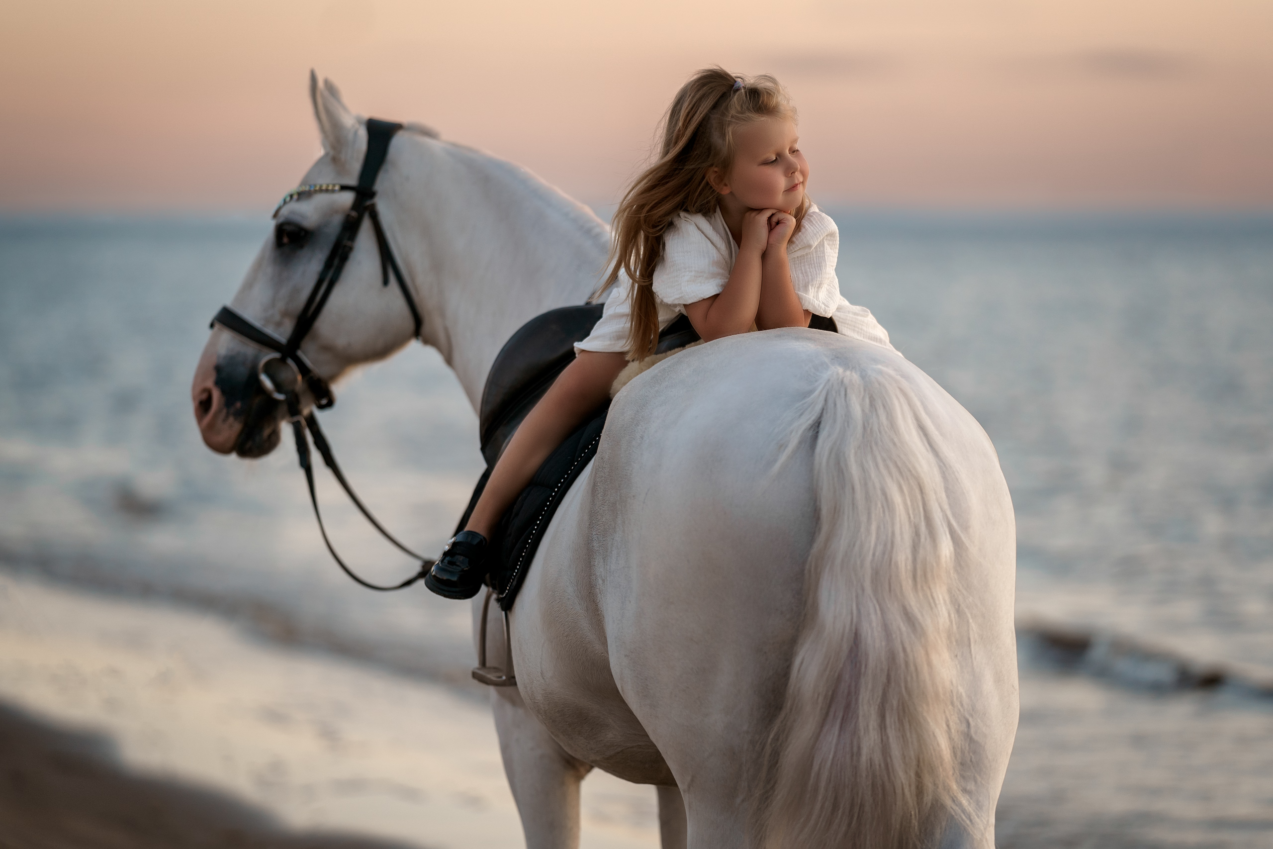 Фотосессии с лошадьми. Фотограф Артемьева Катерина|фотосессии с лошадьми