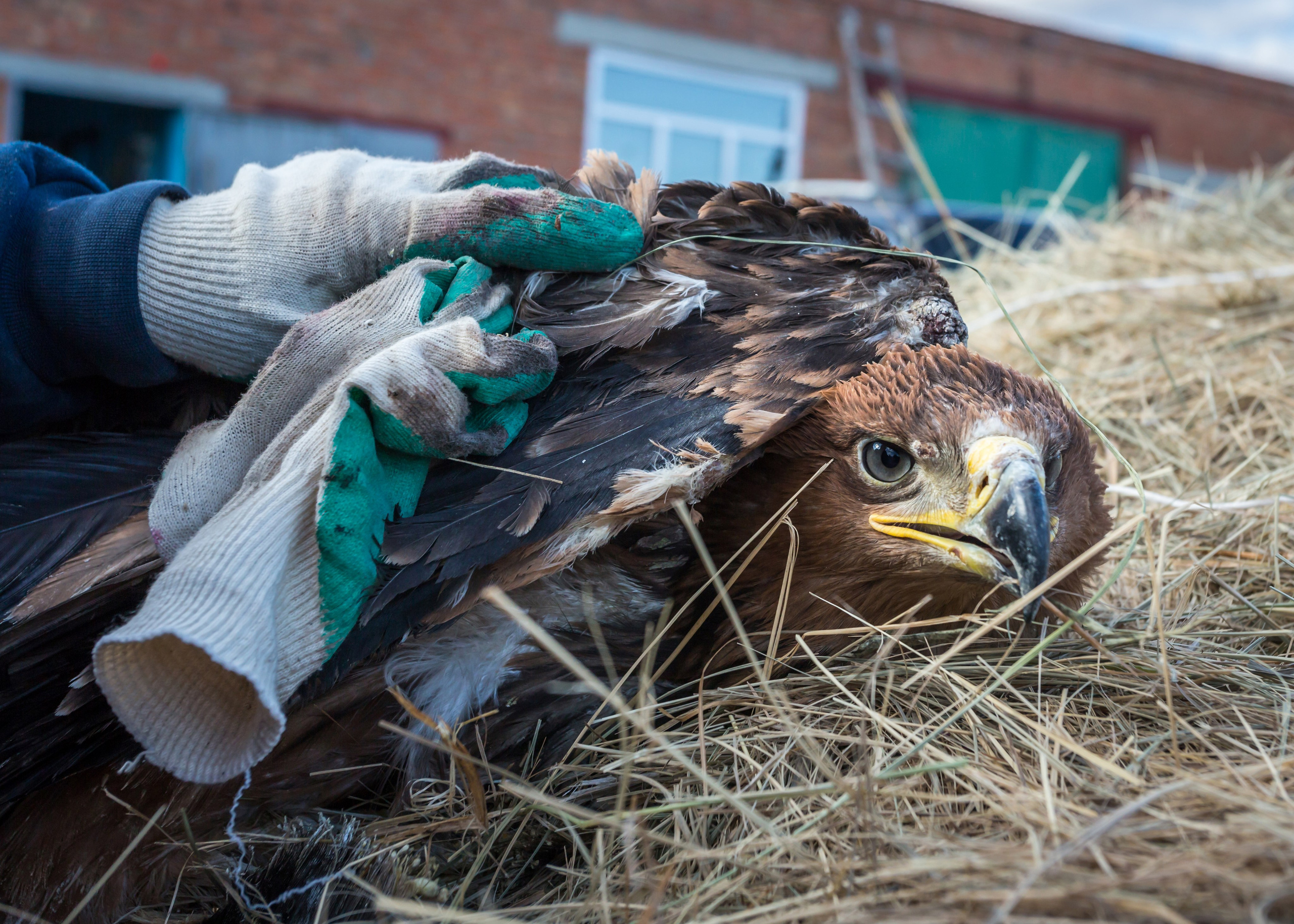 ХВАЛЫНСК: ГОРОД НА ДНЕ МОРЯ. Контакты