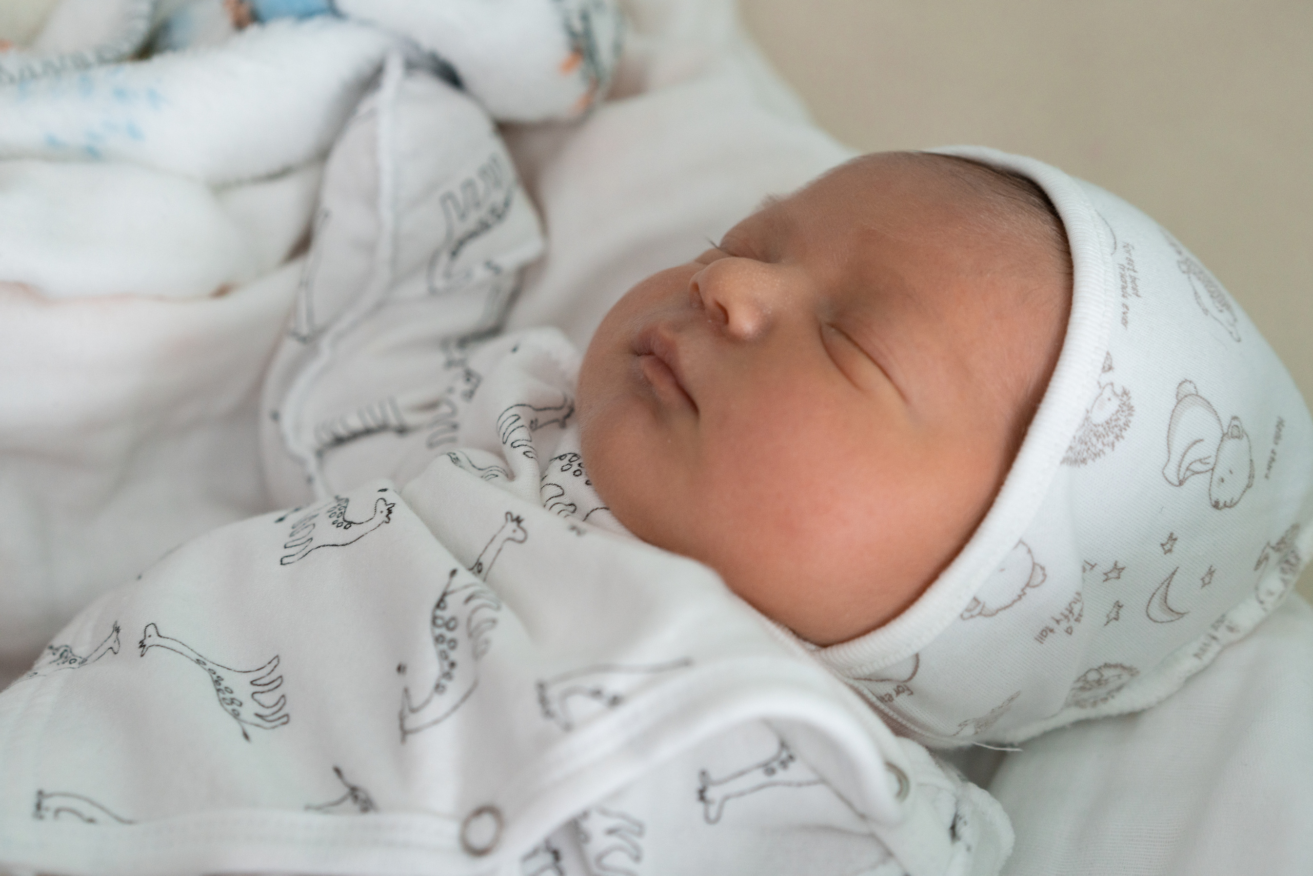 Выписка из роддома Лёвушки