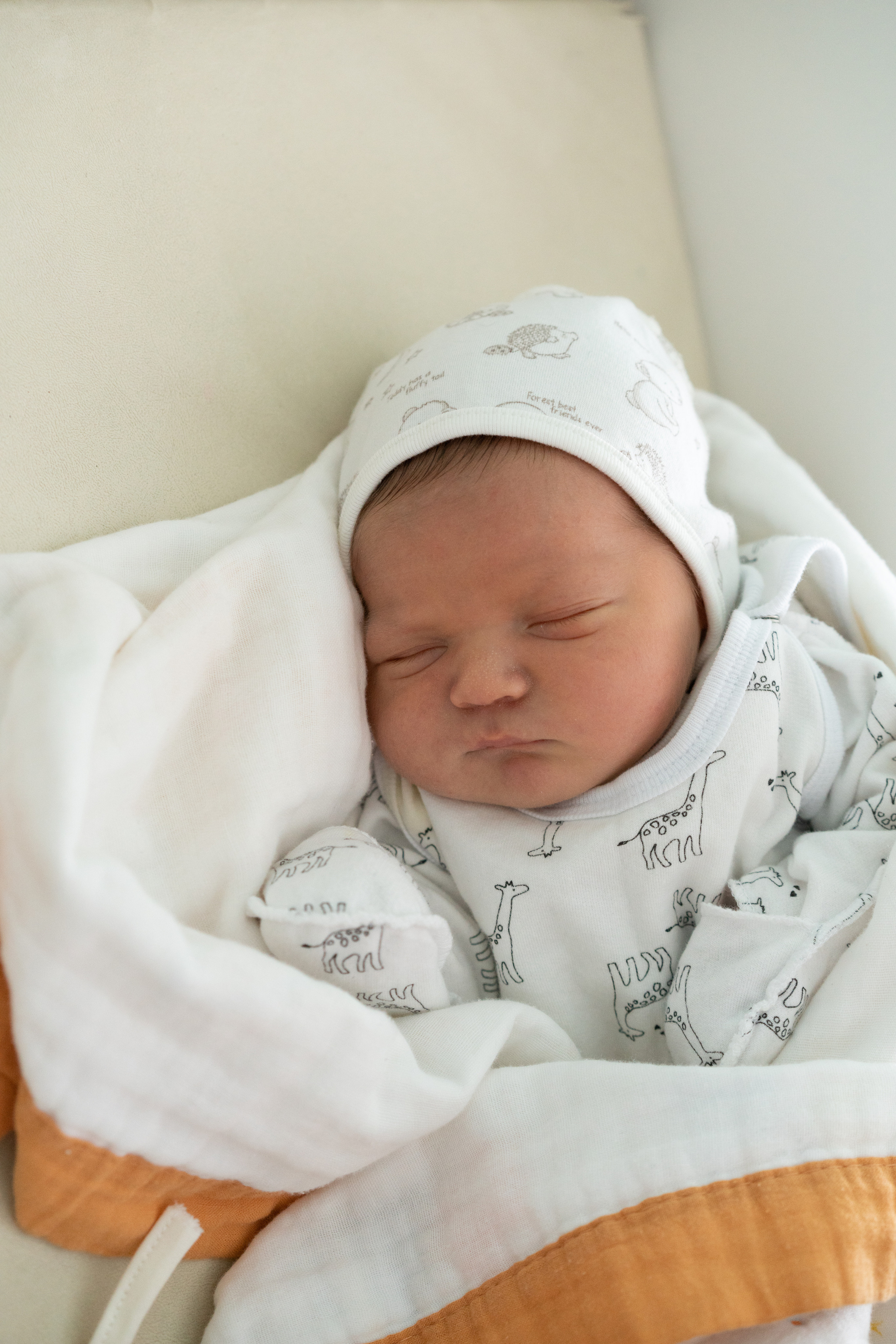 Выписка из роддома Лёвушки